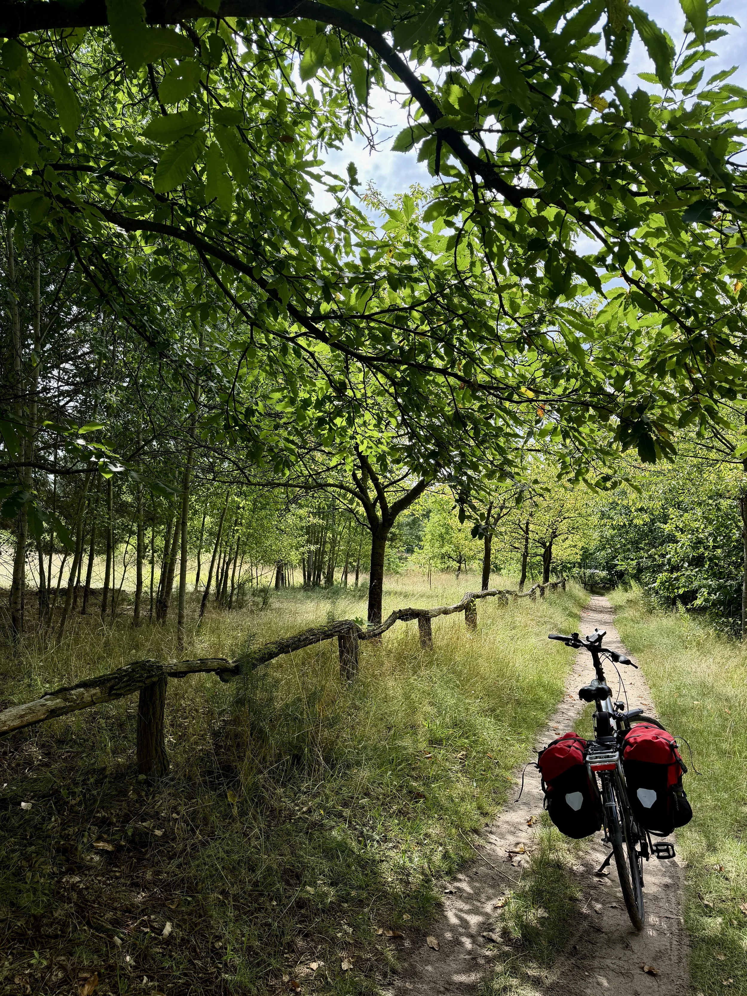 Berliner Mauerweg mit dem Fahrrad, Fahrrad im Grünen mit vielen Bäumen