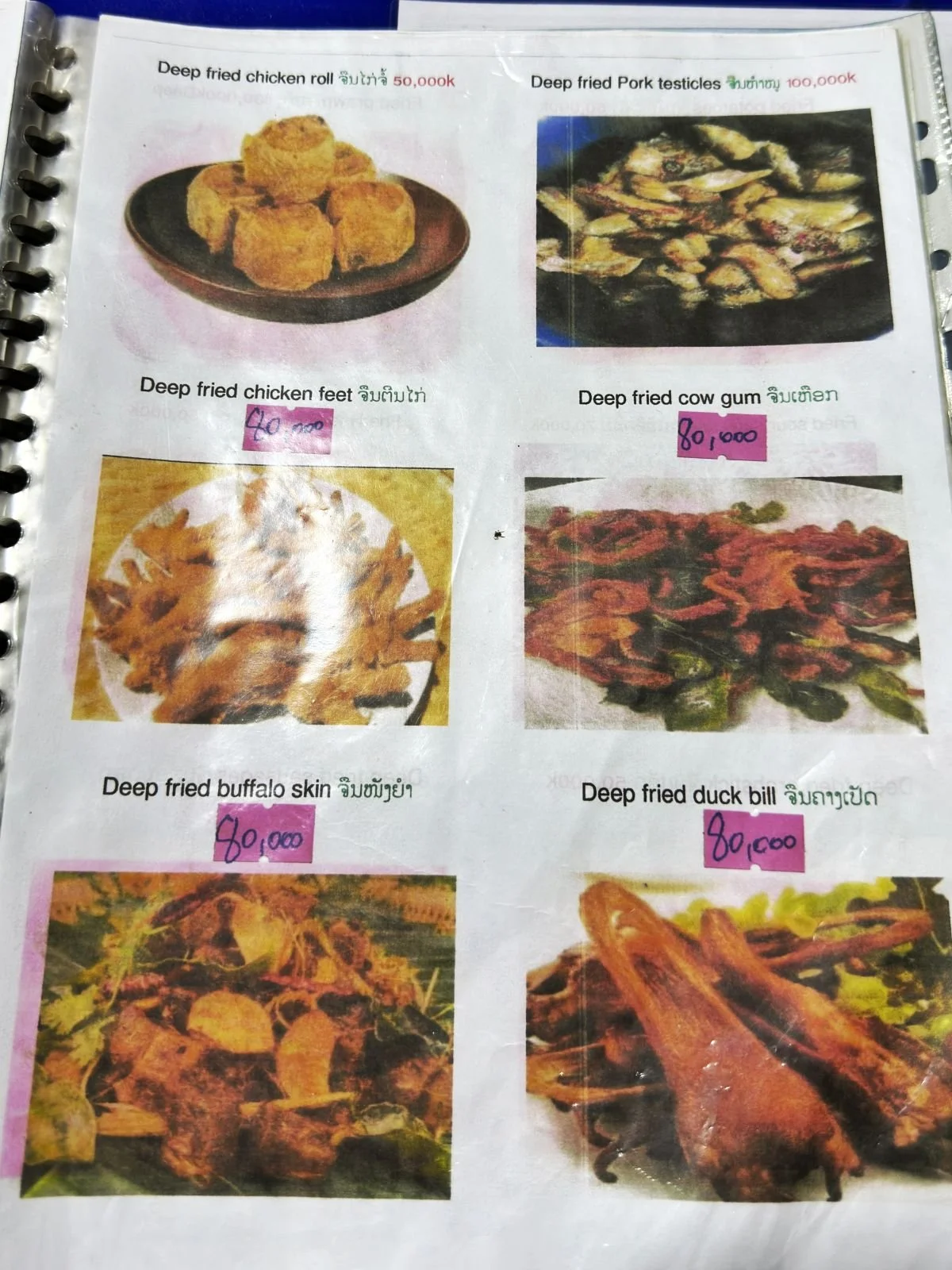 Laos - Rundreise auf eigene Faust - Speisekarte mit ungewöhnlichen Gerichten