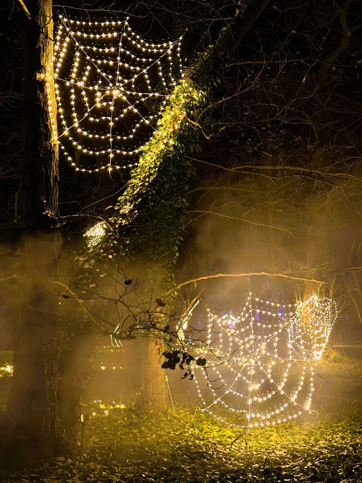 Rezension Christmas Garden Botanischer Garten Berlin, Spinnennetze beleuchtet