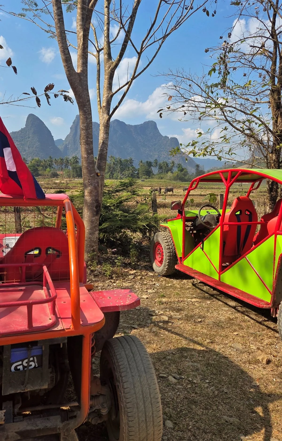 Laos - Rundreise auf eigene Faust - Grün-rote Buggys vor Karstbergen in Vang Vieng