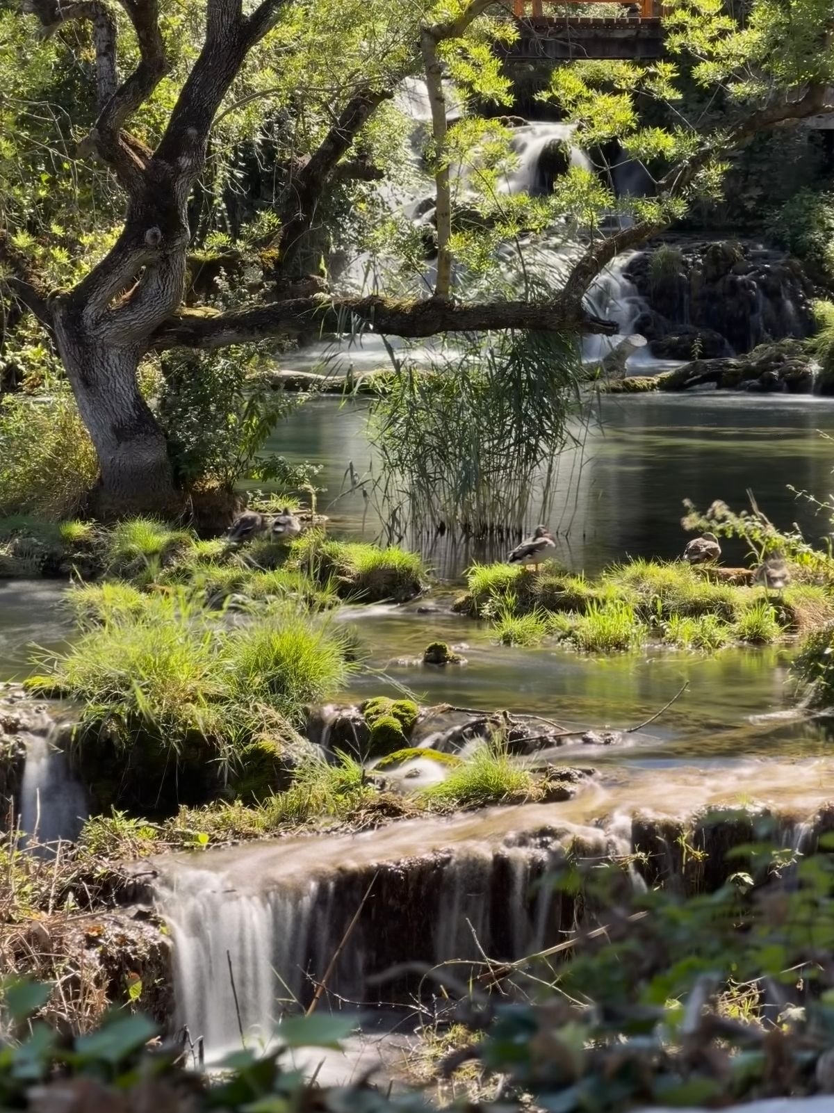 Kleine Wasserkaskaden im Krka-Nationalpark bei Split