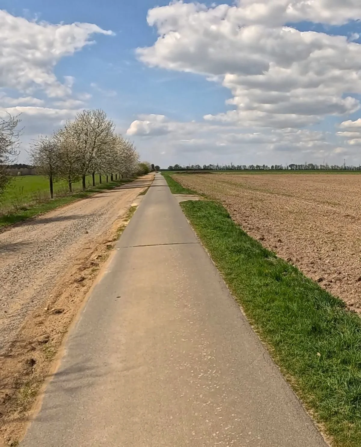 Radtouren Brandenburg - Fahrradblog Berlin -Brandenburg - Radweg am Feldrand