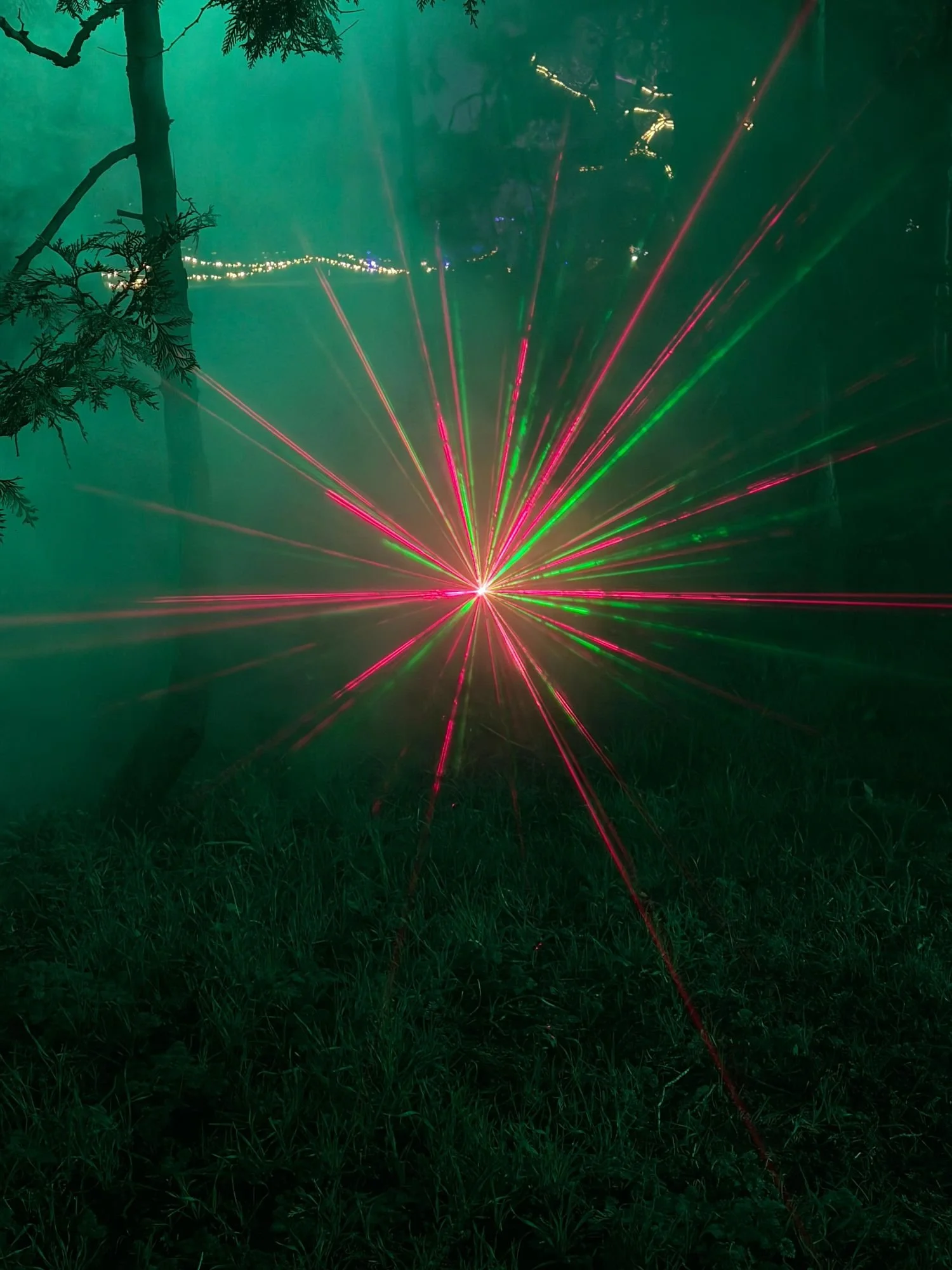 Rezensionen für Christmas Garden - Lasershow zwischen Bäumen