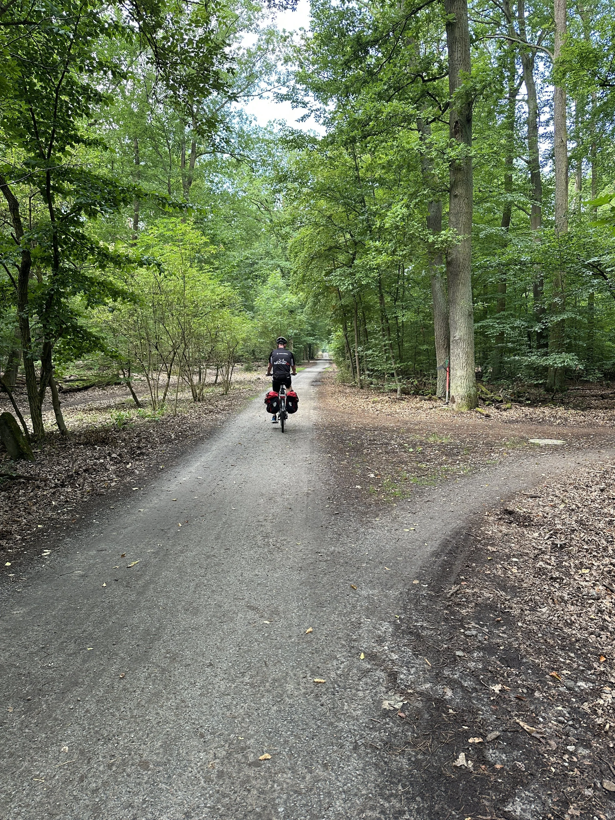 Berliner Mauerweg mit dem Fahrrad, im Wald auf einem Weg., Mann mit Fahrrad