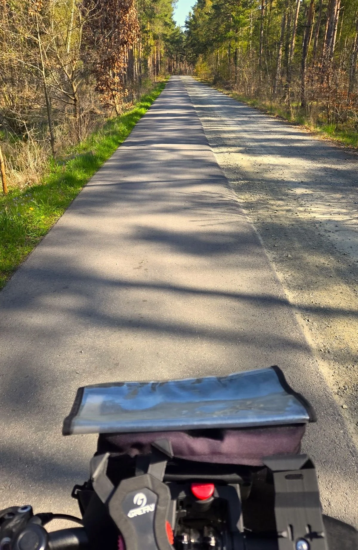 Radtouren Brandenburg - Fahrradblog Berlin -Brandenburg - Asphaltierter Radweg zwischen Kiefern