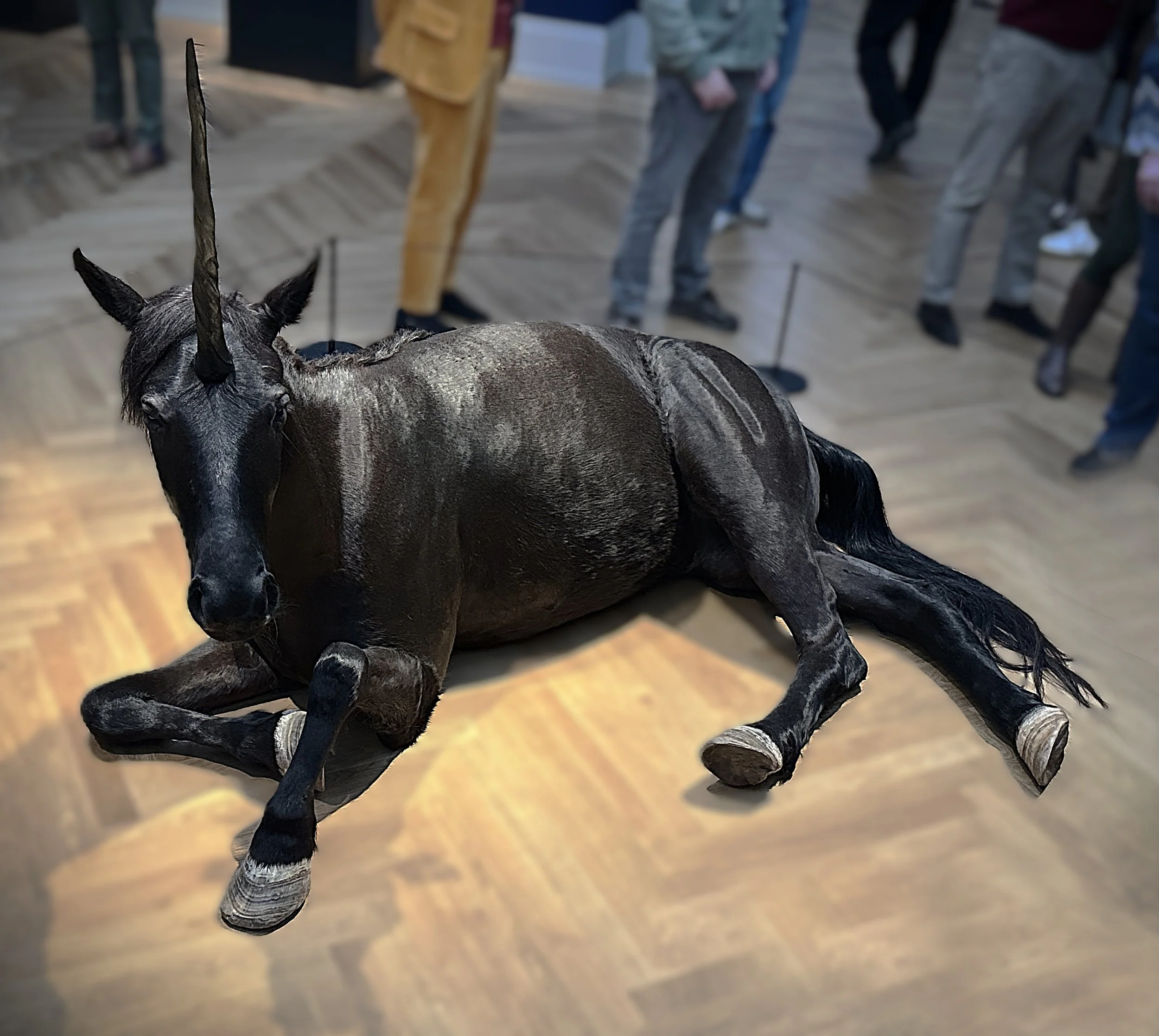 Einhorn. Das Fabeltier in der Kunst, Pferd als Tierpräparart, schwarz, halbliegend