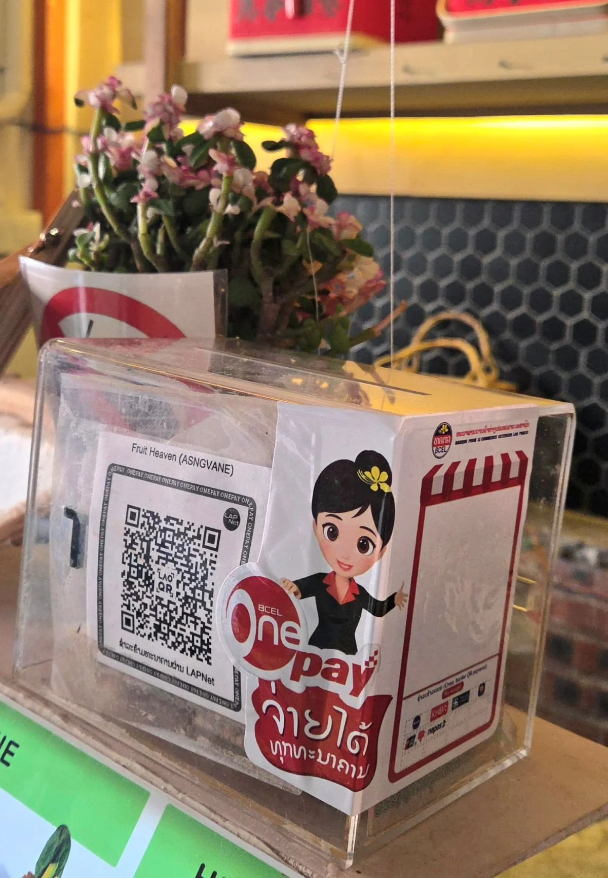 QR Code in Laos für Loca Pay, Rundreise Laos