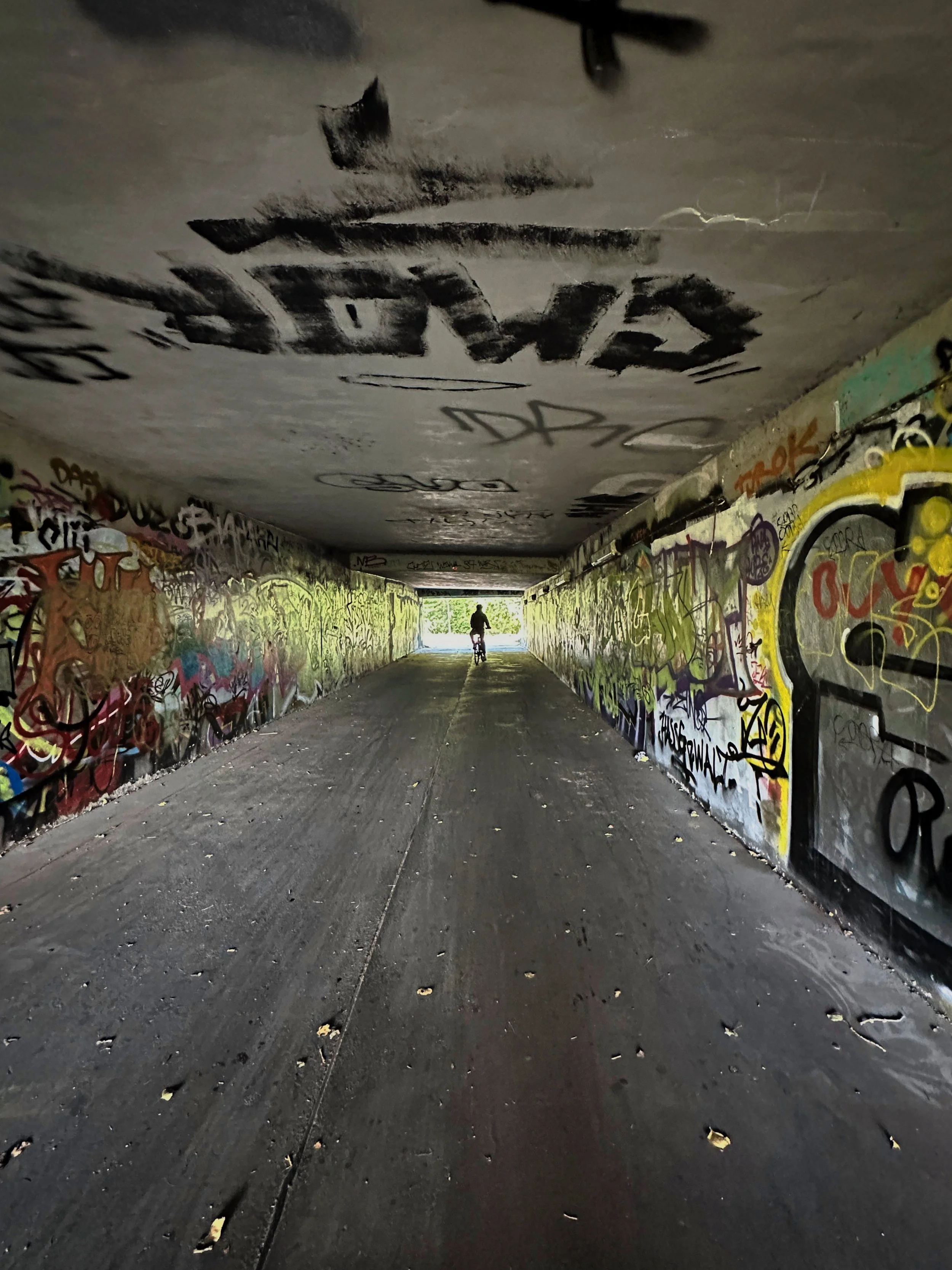 Berliner Bezirke mit dem Fahrrad erkunden, Fußgängertunnel mit Fahrradfahrer und Graffiti