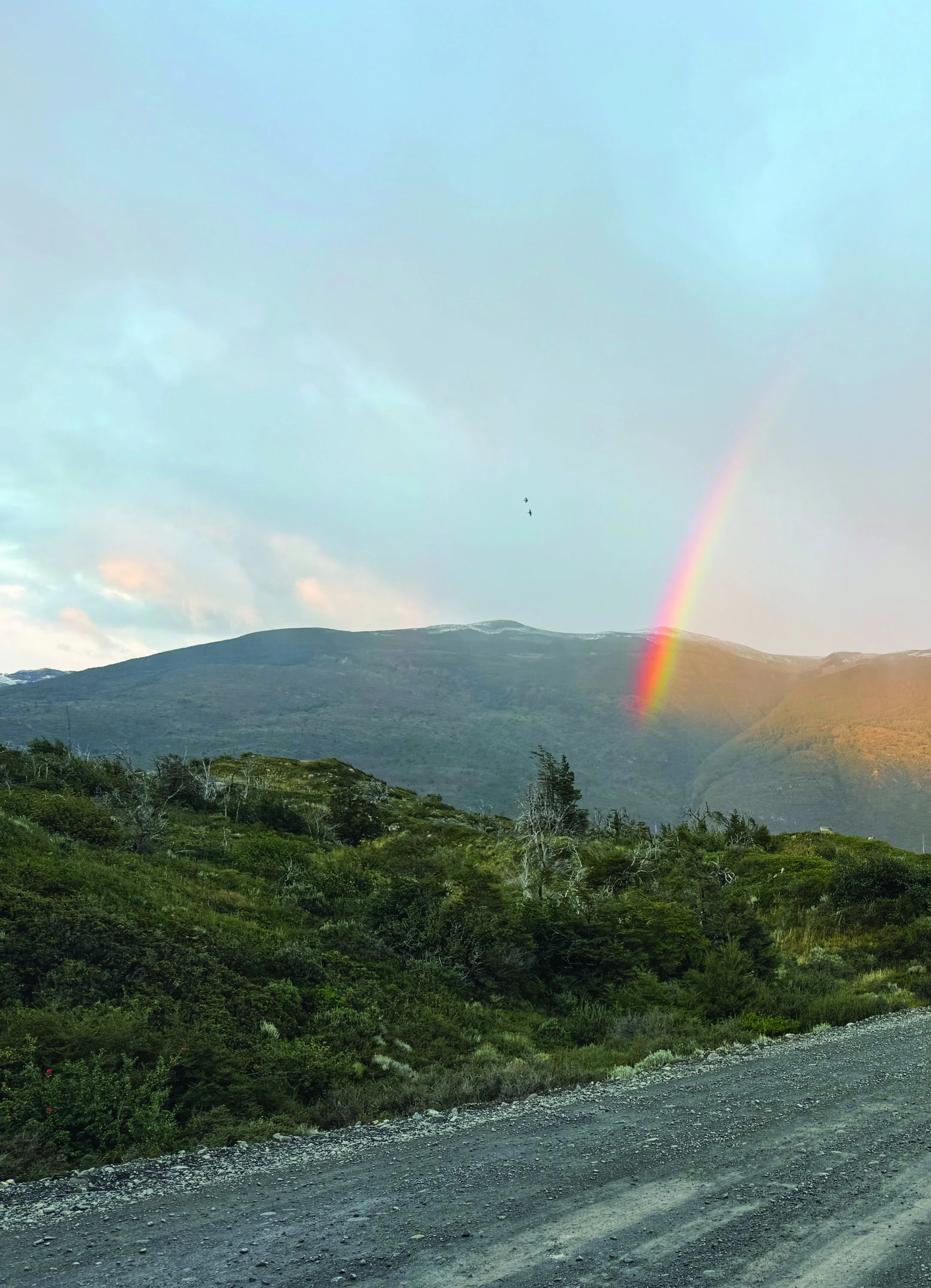 Vorteile getrenntes Reisen, Kurt Friedrich Gassner, Regenbogen mit Bergen
