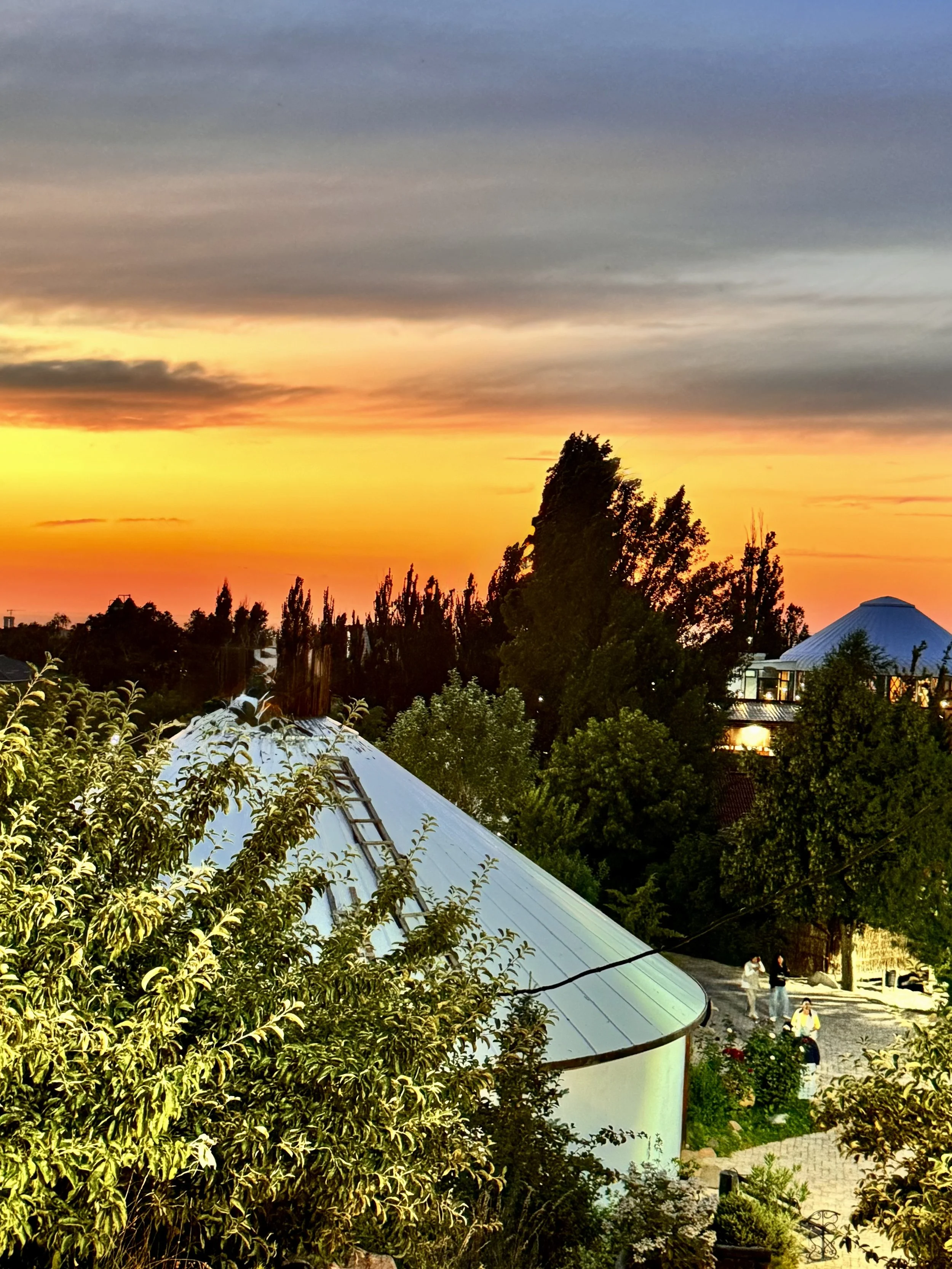 Kirgistan Reisebericht, Sonnenuntergang mit Bäumen