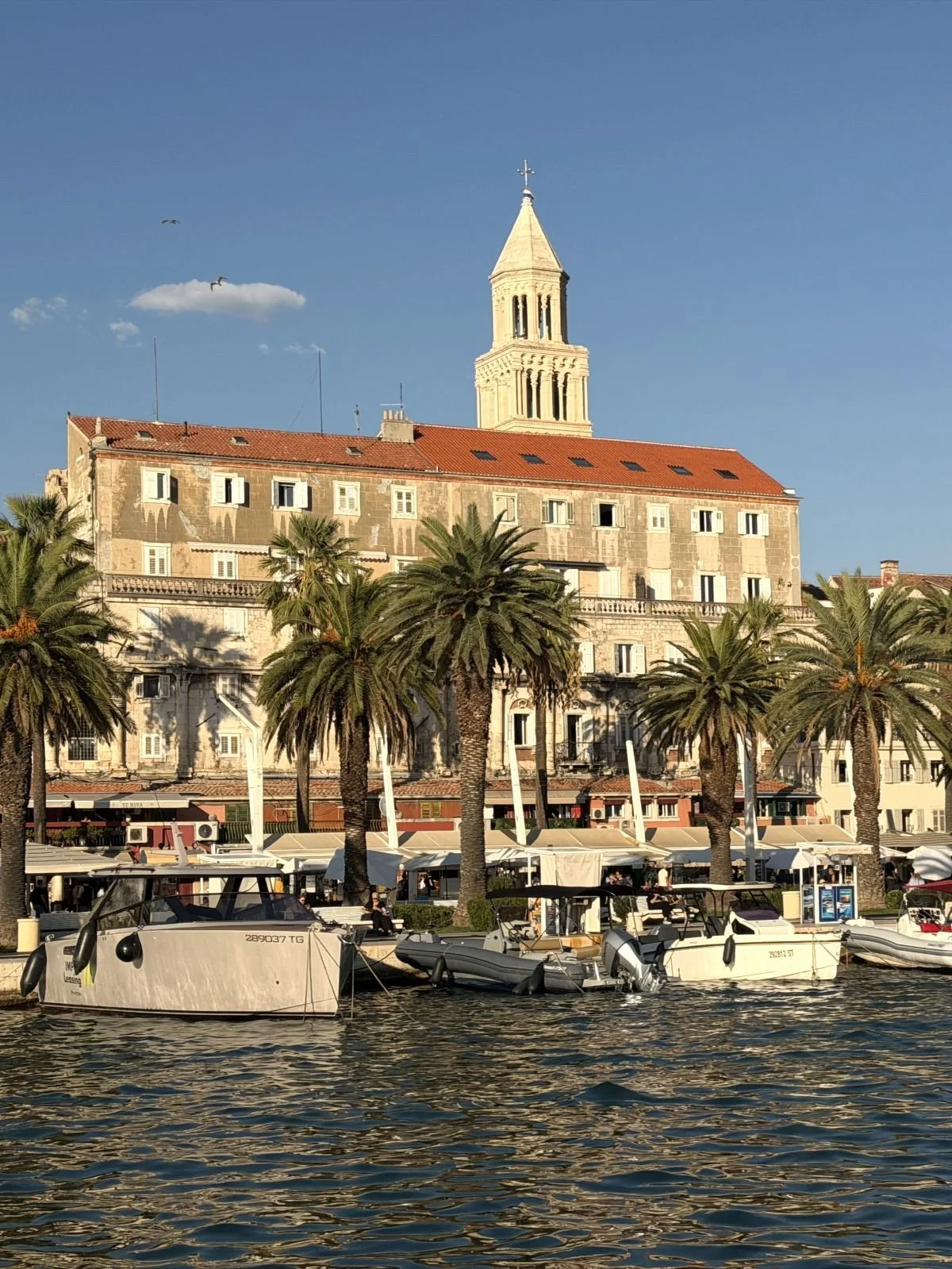 Reisebericht Split, Blick vom Wasser auf die Riva mit Palmen und dem Palast mit Glockenturm dahinter