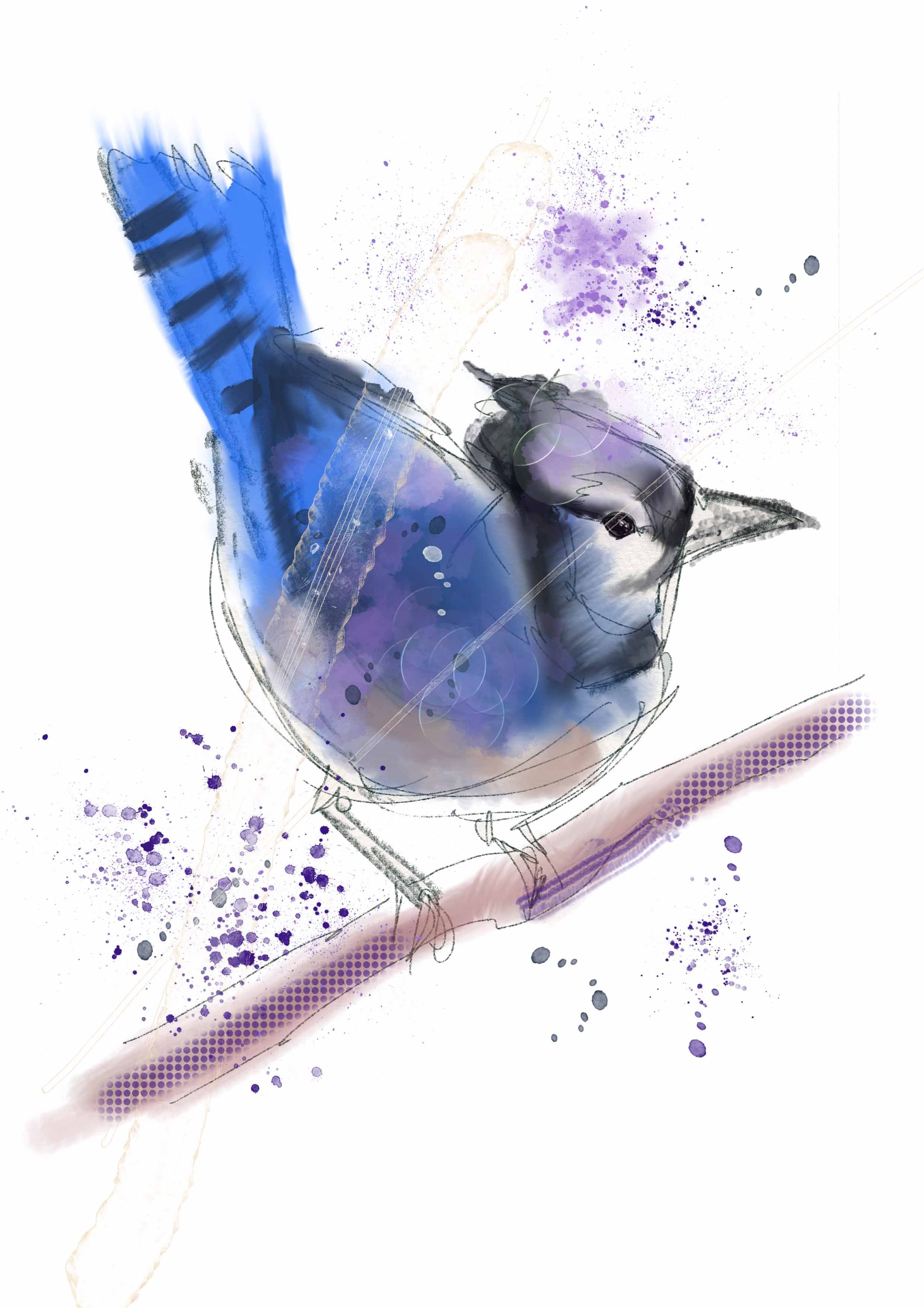 Bluebird copy.jpg