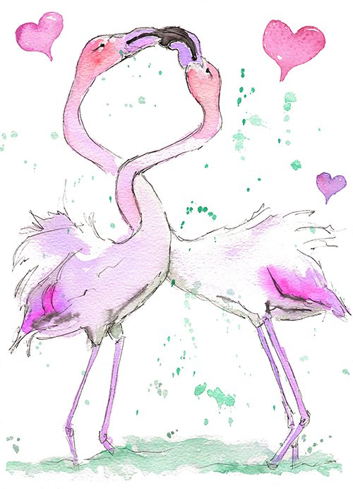 Flamingos no text copy.jpg
