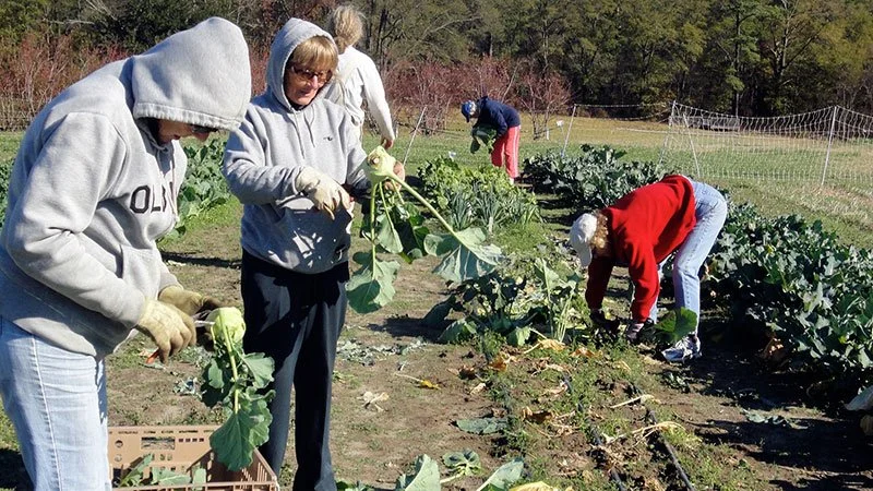 souper farm volunteers.jpg
