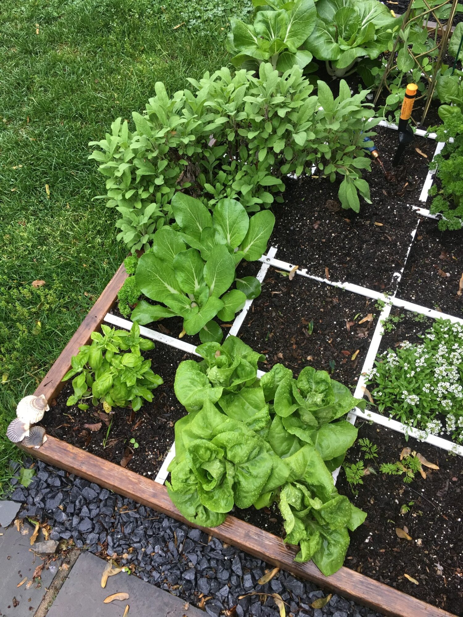 Foot by Foot Gardening.jpg