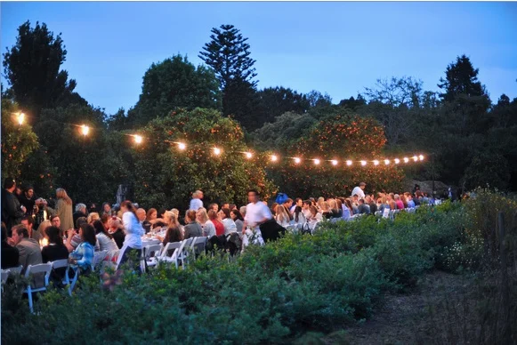 A Bohemian Feast With Alisa Barry, Asha Gomez & Jenny!