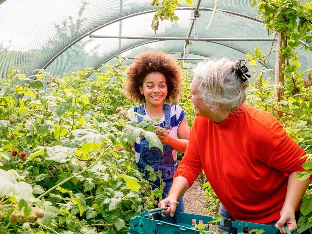 souper+farm+volunteers.jpg