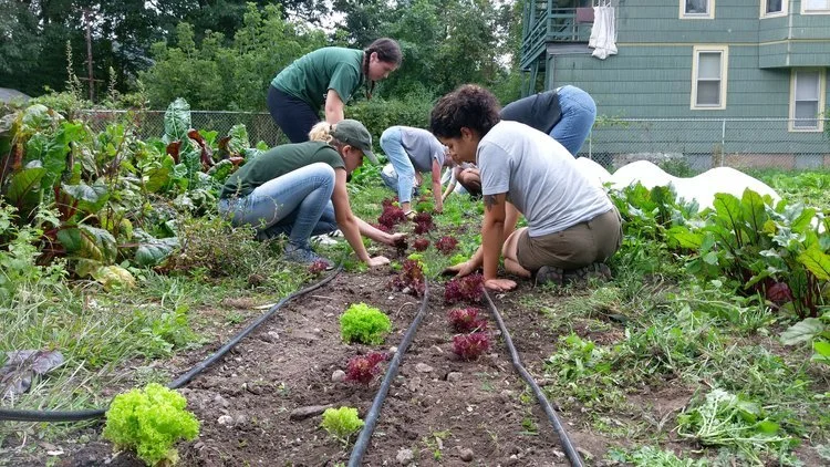 farm volunteers.jpeg