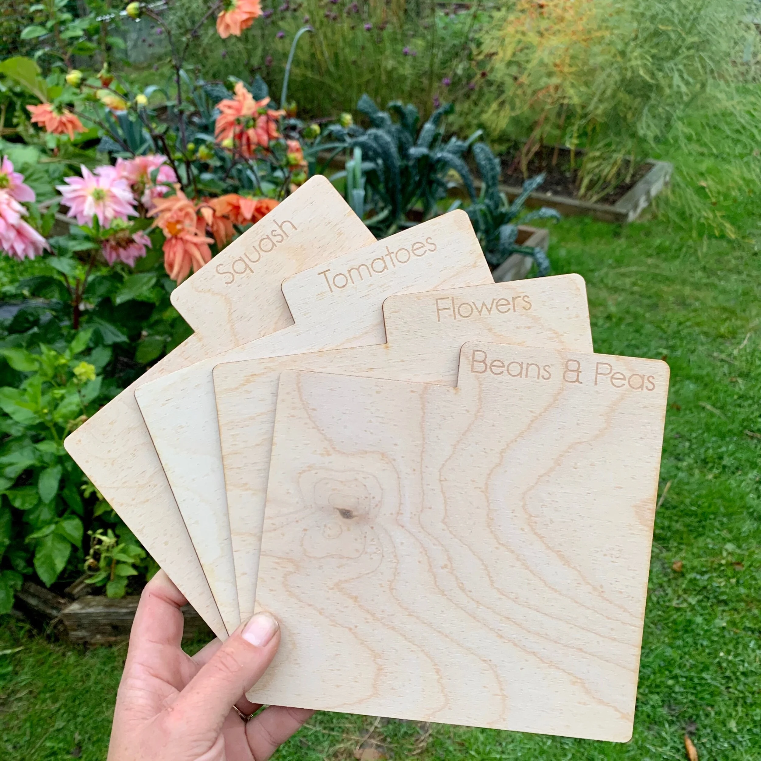 CDB7ABC4-CBCA-4710-BADE-0F39CA9B5DCA