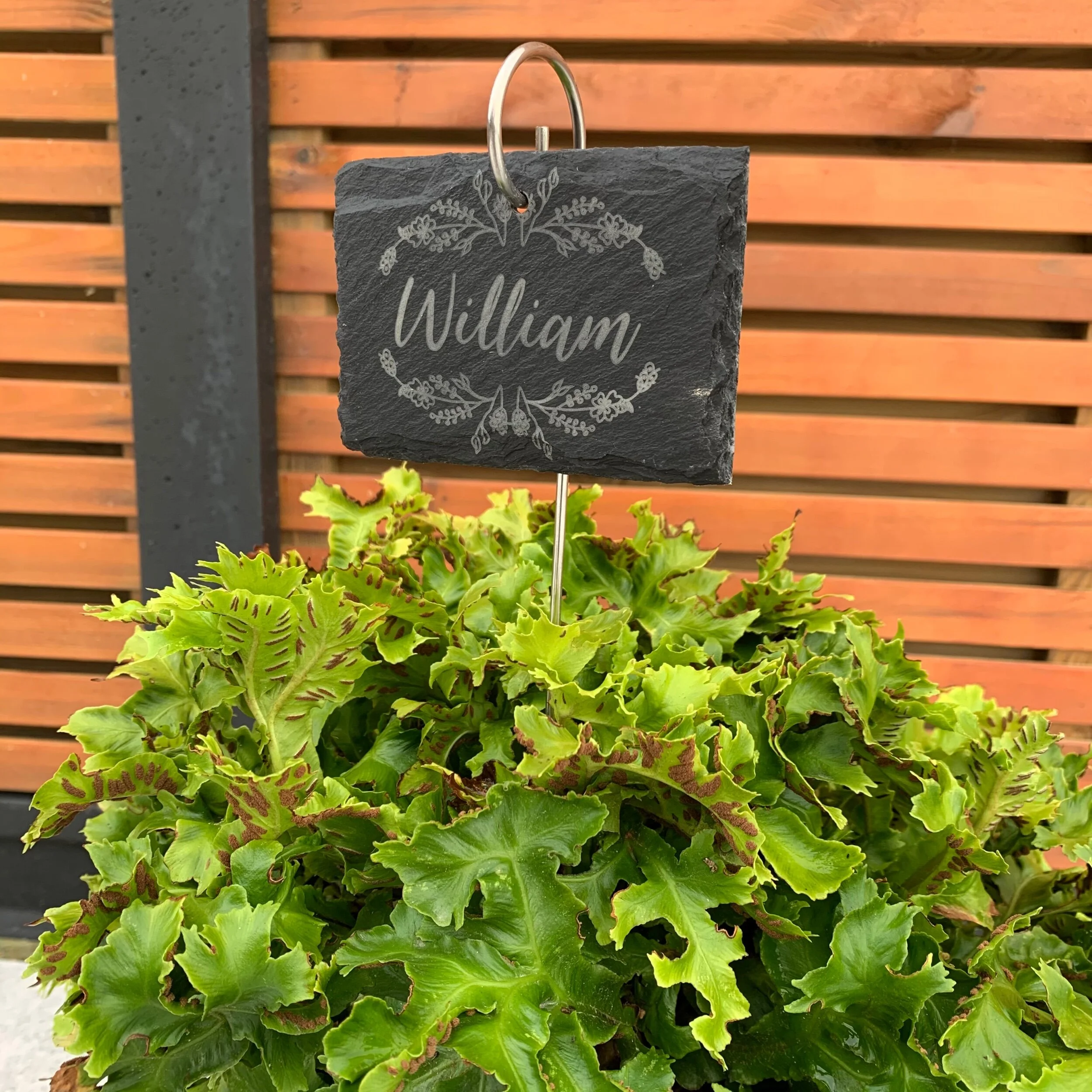 91A4883D-2B84-4C3E-BF63-BC40226AFD2C