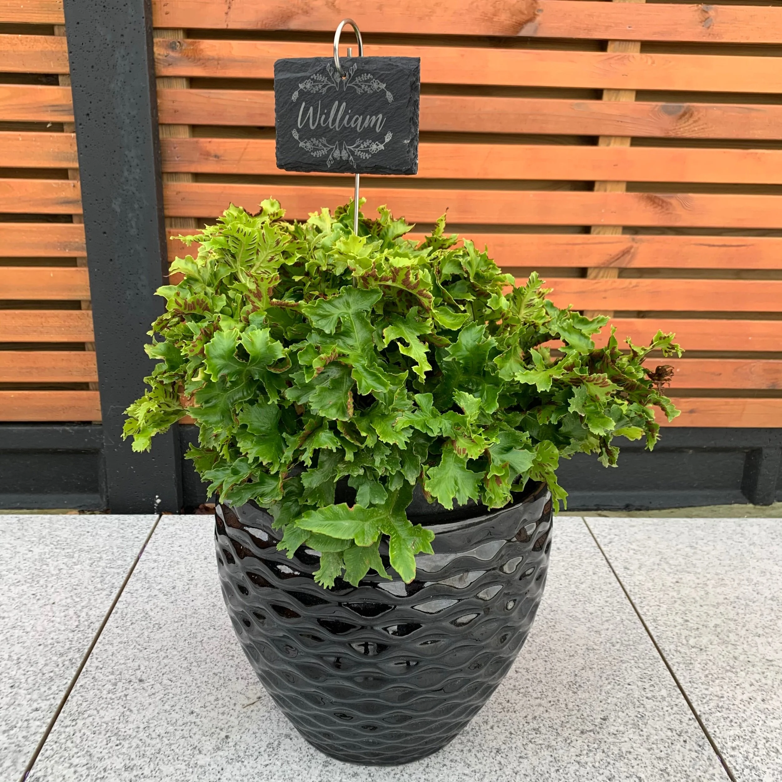 1EA38A21-48E6-4170-88AA-307893CA67F6