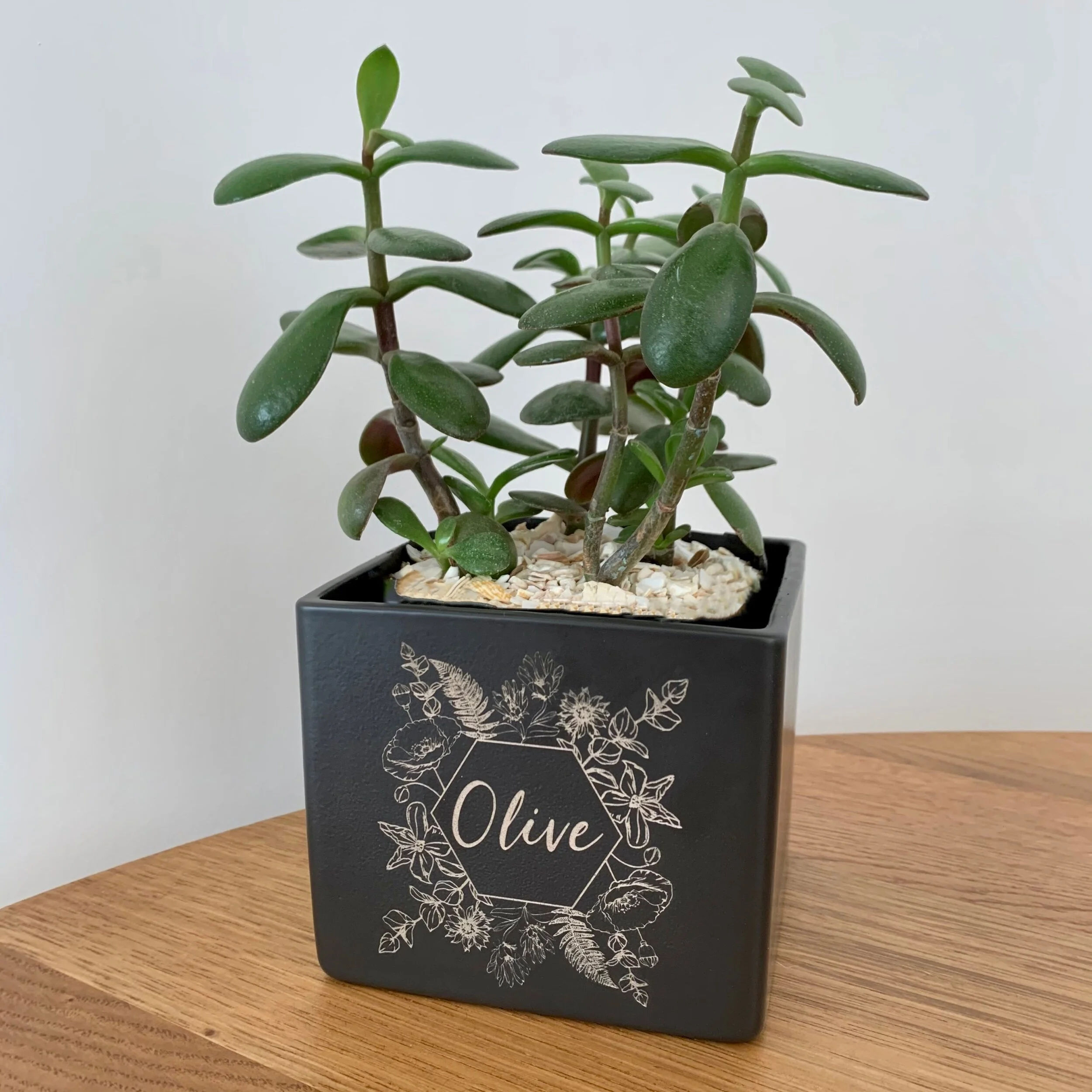 73EE867E-AC59-4E9F-AEA8-0E802F8E6195