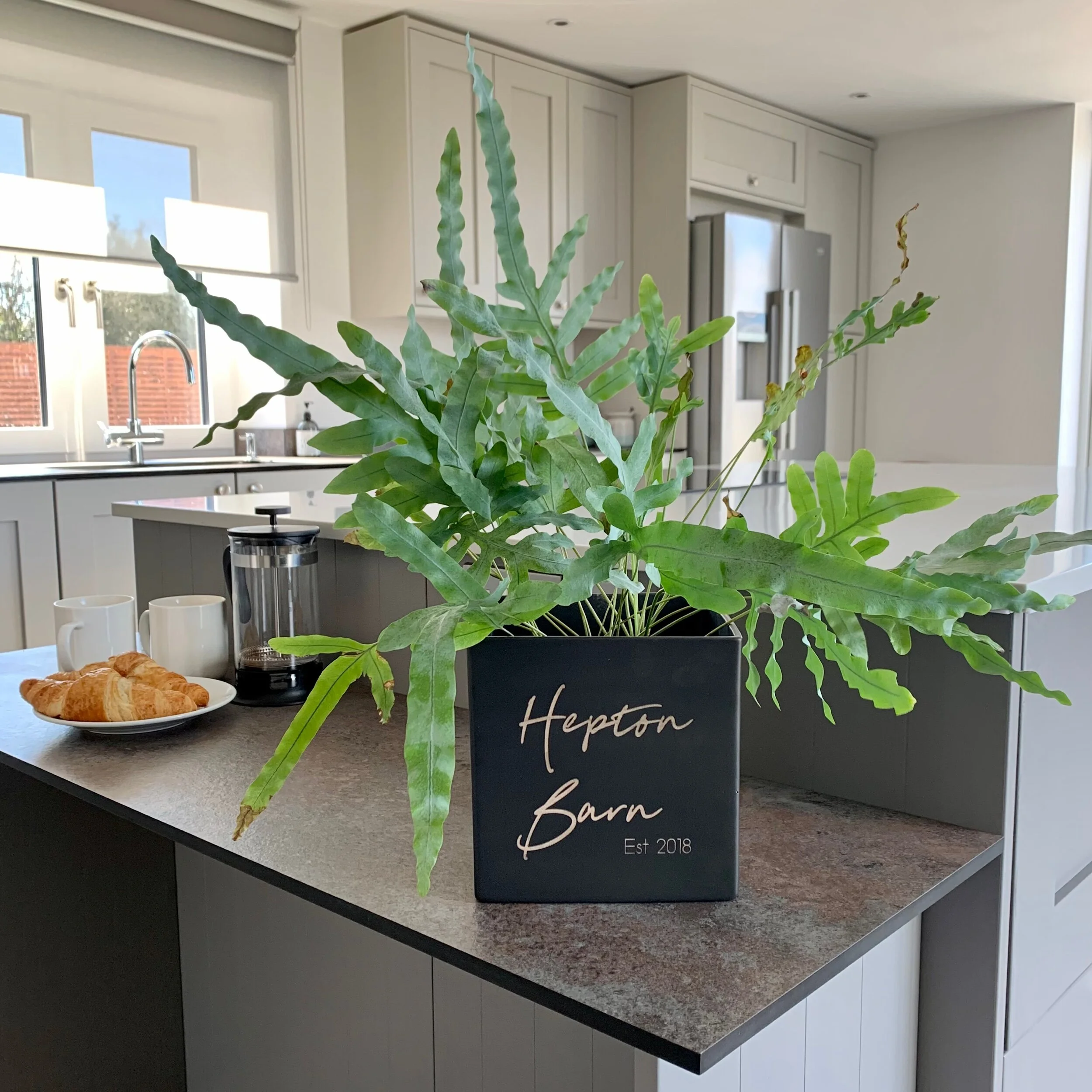 49F0E6B1-6471-4C0E-93FC-FF208E6ECF61