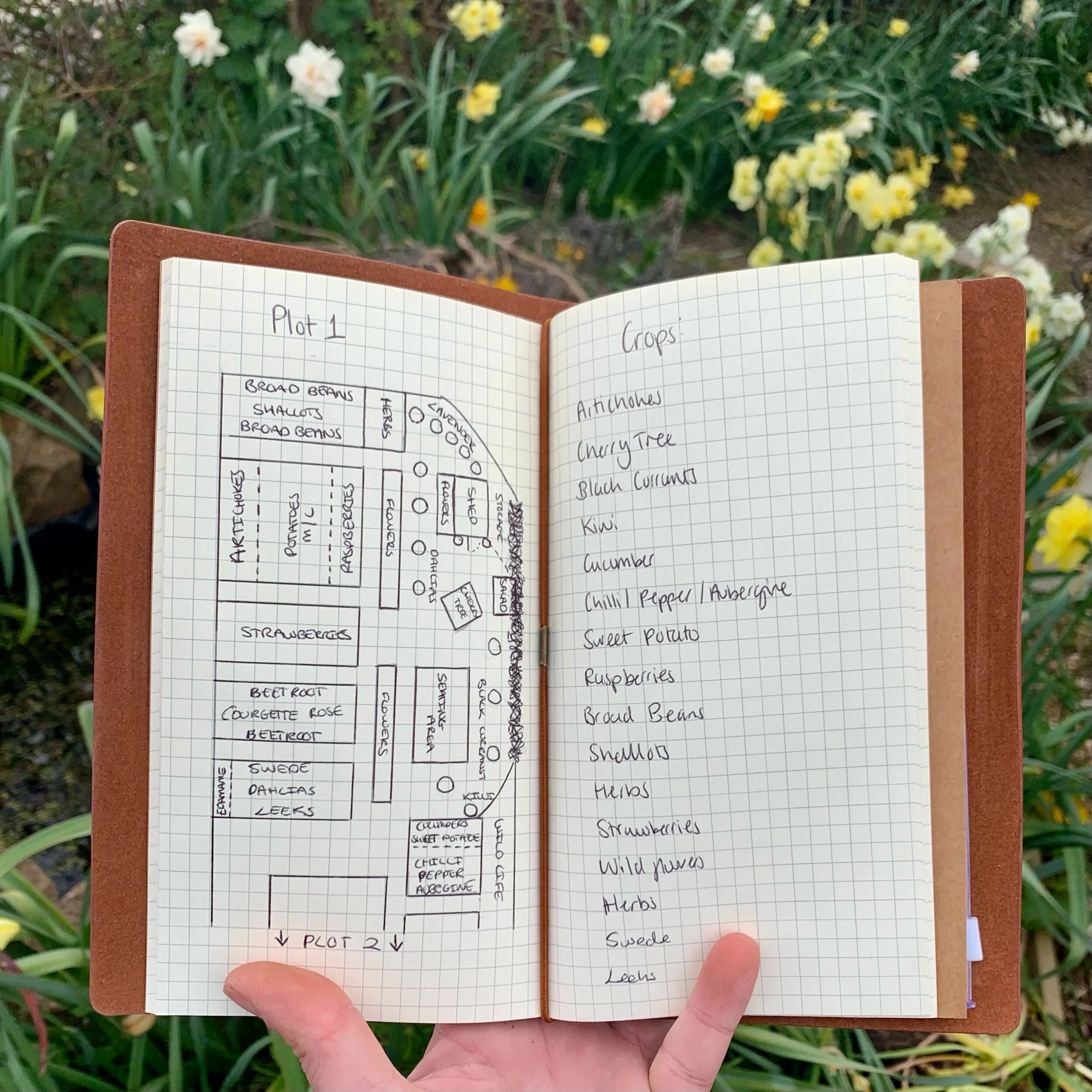 35A463BD-4E0D-4E7F-B8F8-24D56A009811