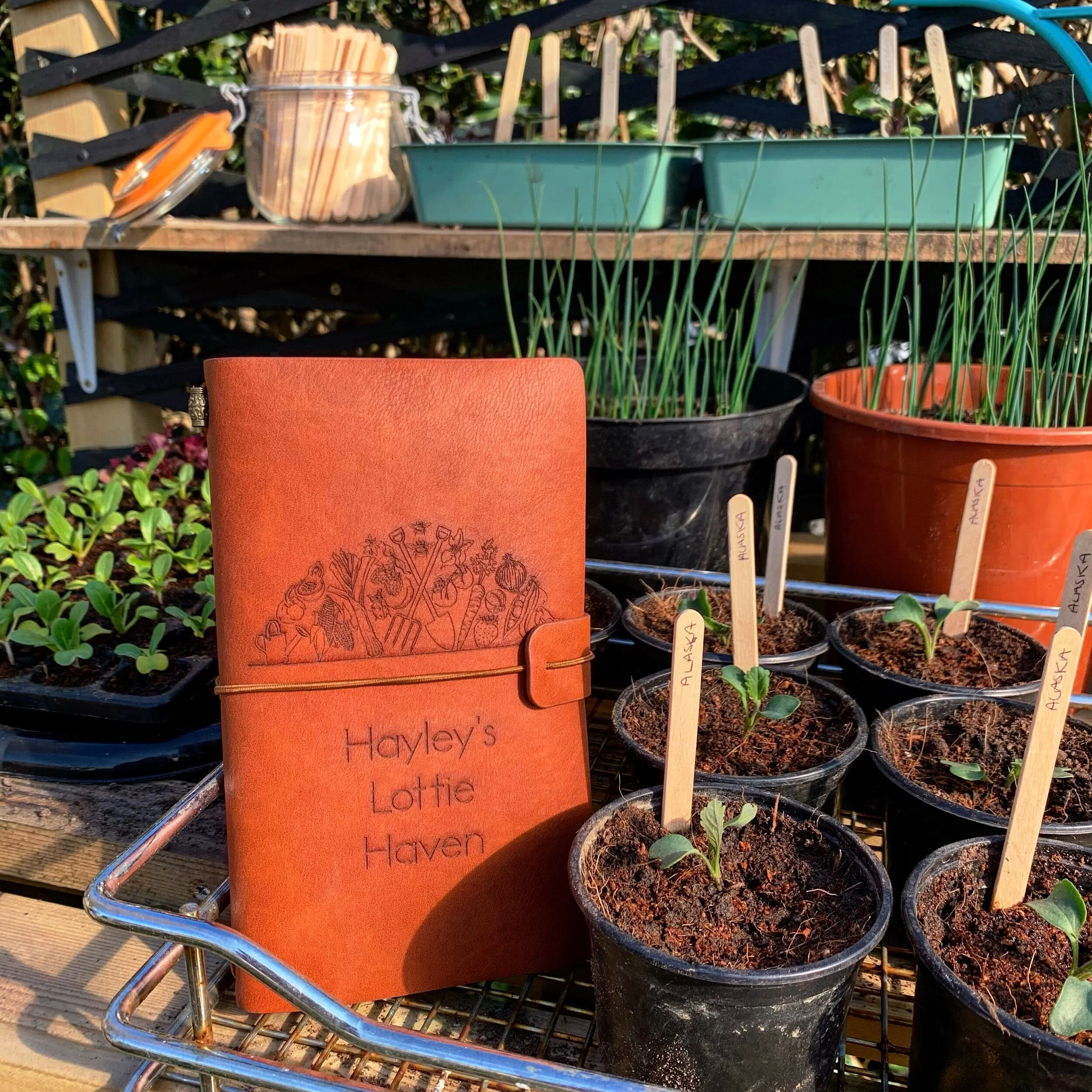 BDF423DE-9AA4-4979-8EBA-253A754A4D67