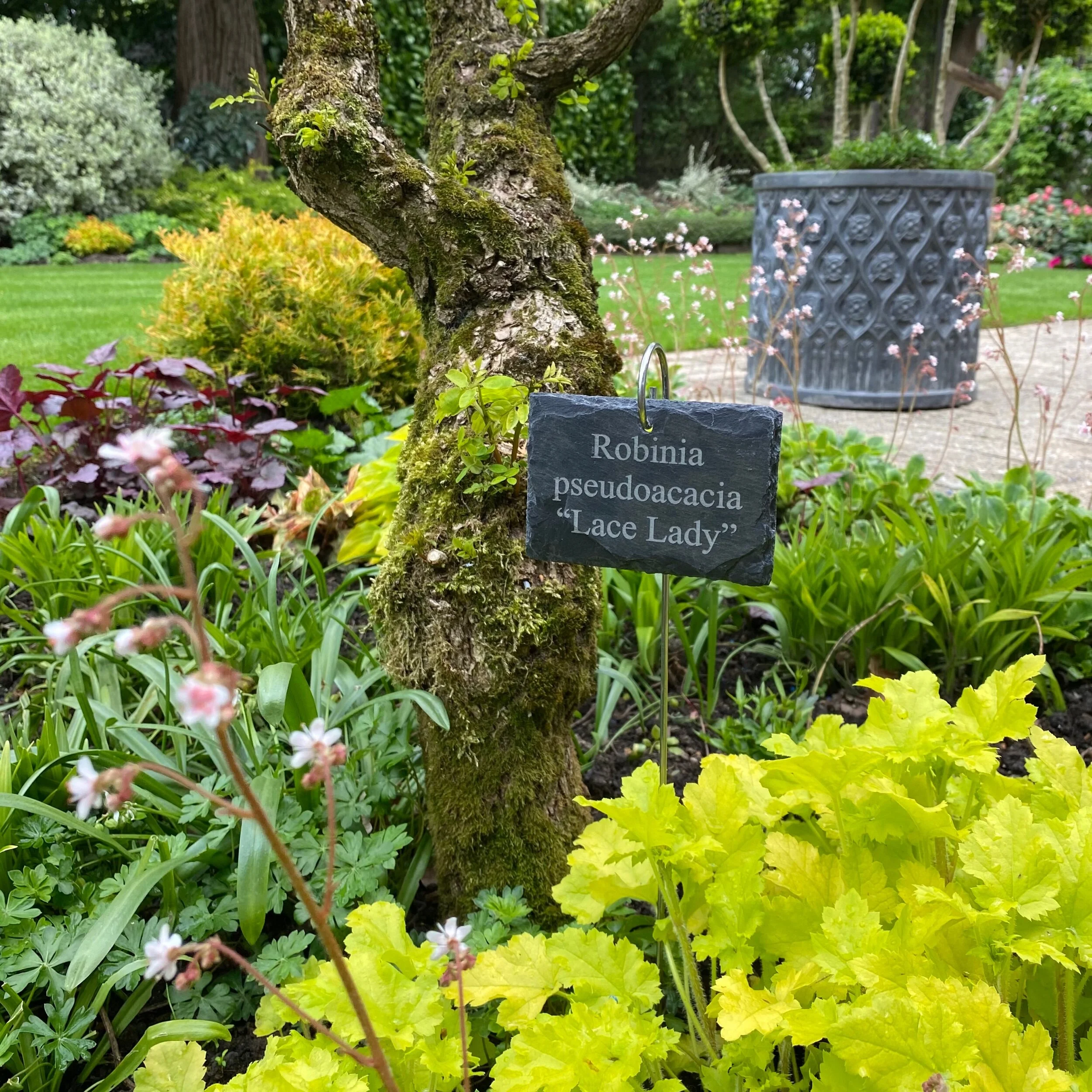 7120156F-2C3A-43F4-A546-E4E69C34AA6E