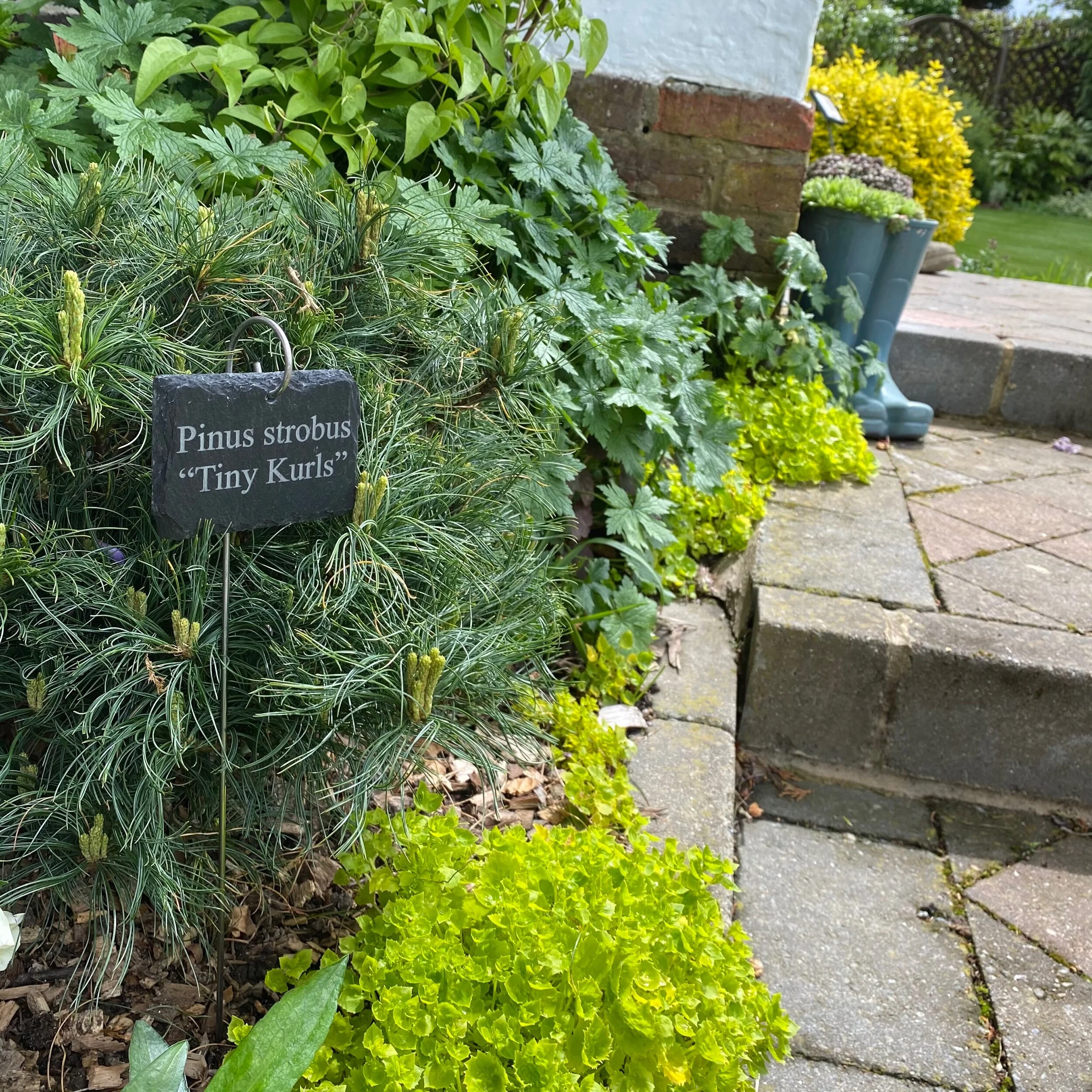 226CBA82-0005-4D5B-905A-D318C8361BB2