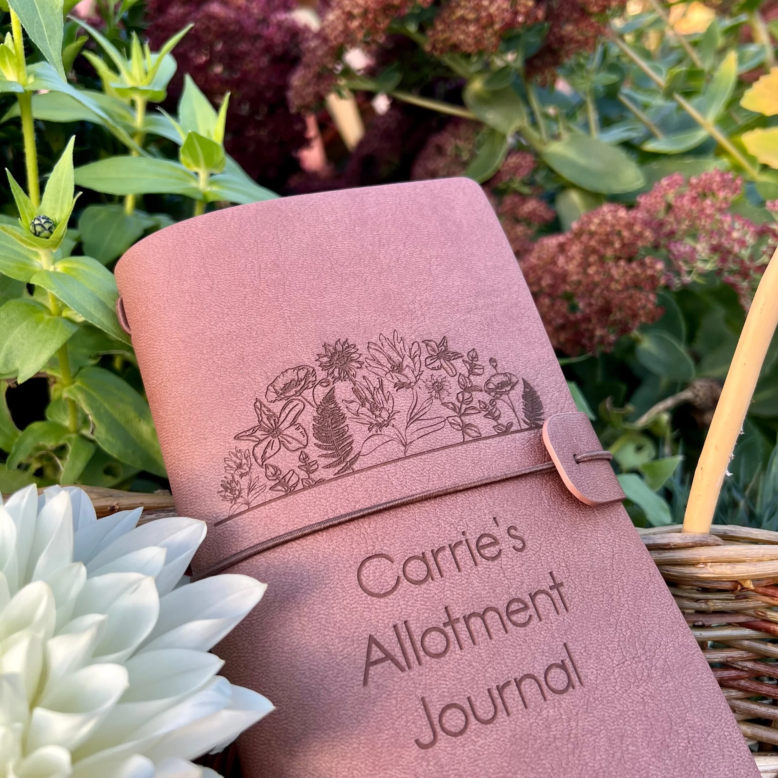 3D3371AA-0733-4EFE-AF34-2624EE5D2F64