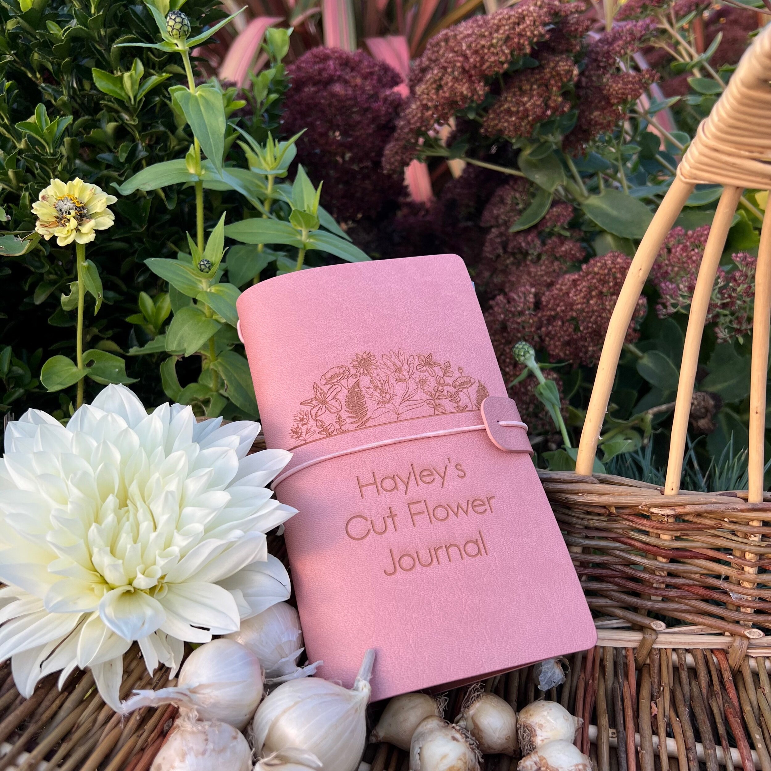 3FE055D3-02EC-4A98-8D3D-8DC91D6817BE