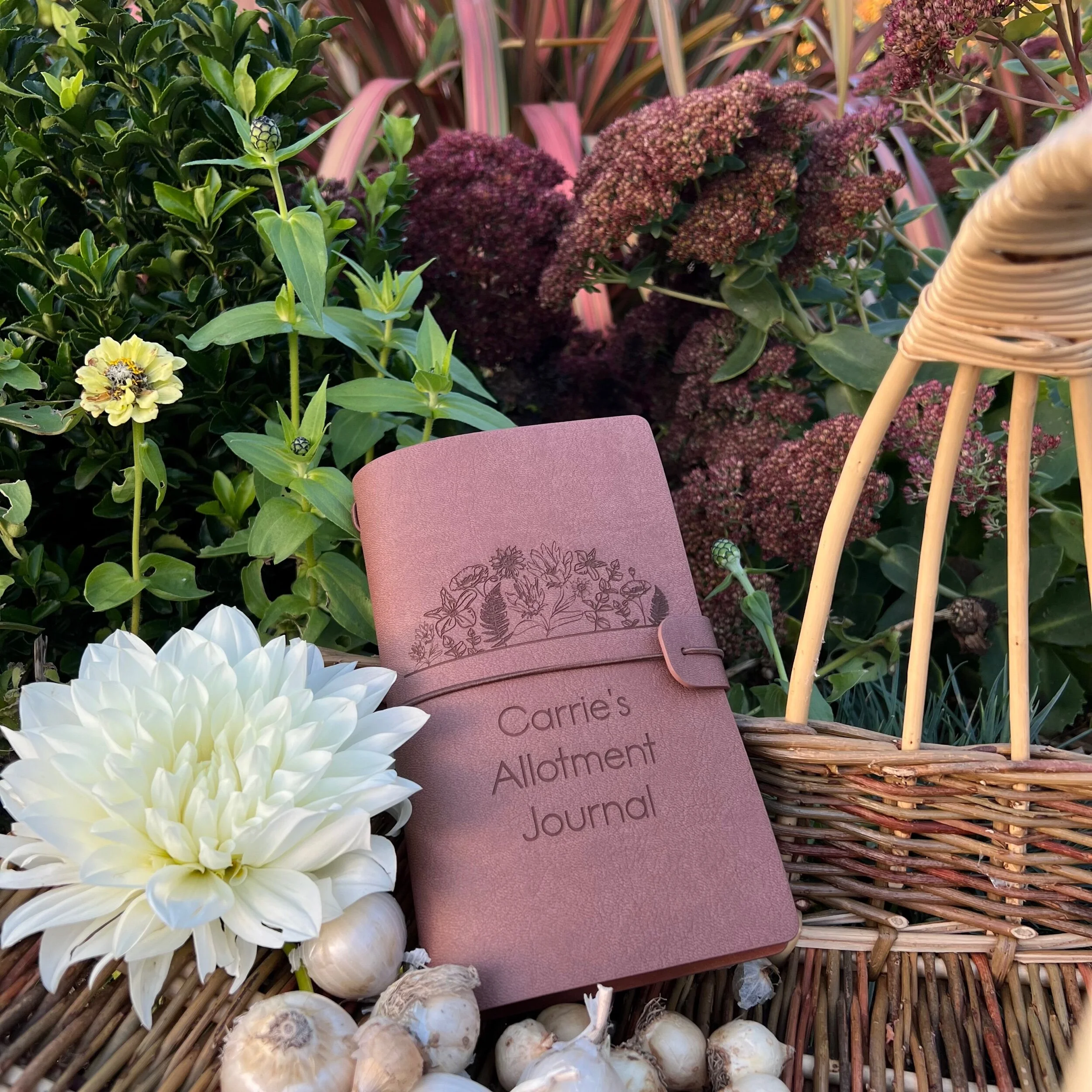 62307FFD-75B8-45A1-98E6-9F42EFFF9F3D