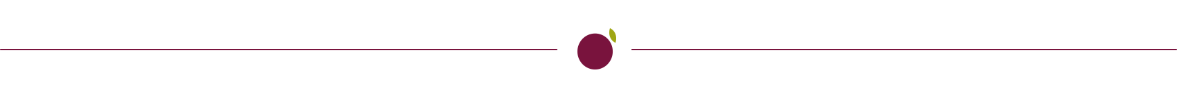 plumdl-divider.png