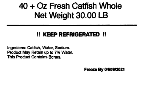 Otten’s Seafood Inc. Recalls Siluriformes Fish Products Produced Without Benefit of Inspection