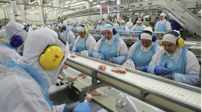 CYBERATTACK SHUTS DOWN WORLD’S LARGEST MEAT SUPPLIER