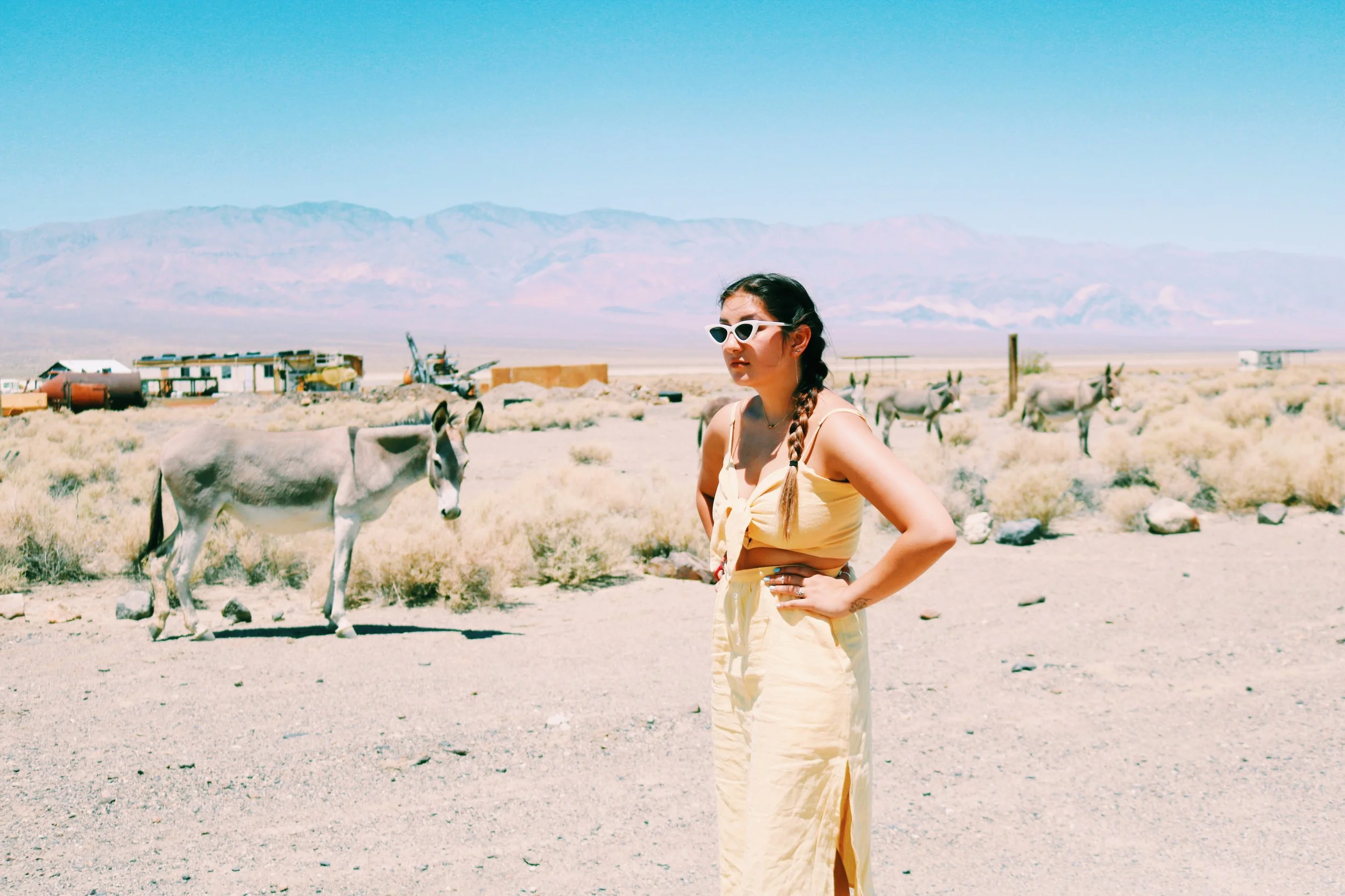  Photo by Maya Knowles 