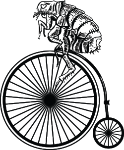 logoflea.png