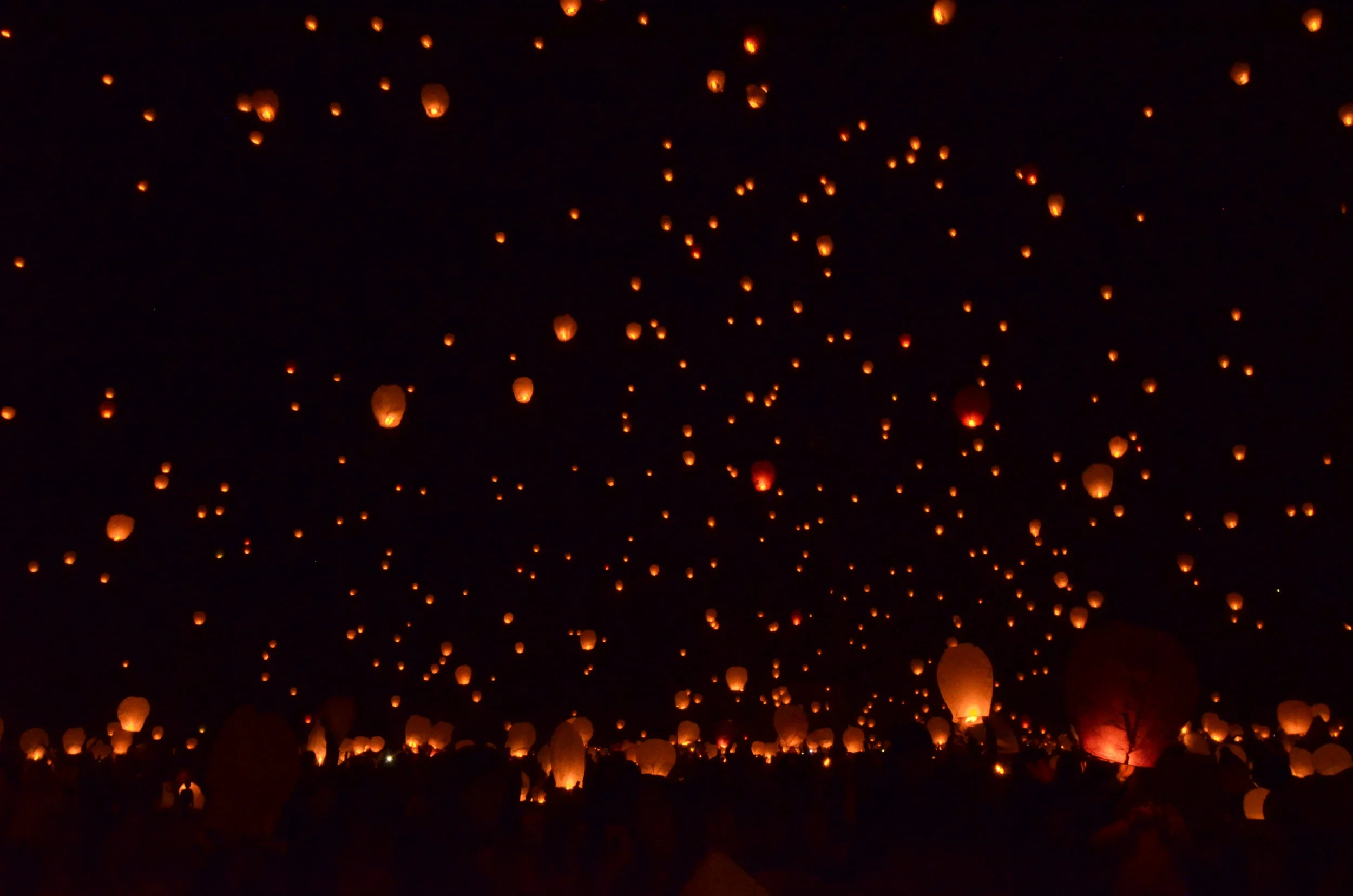 Welcoming the New Year