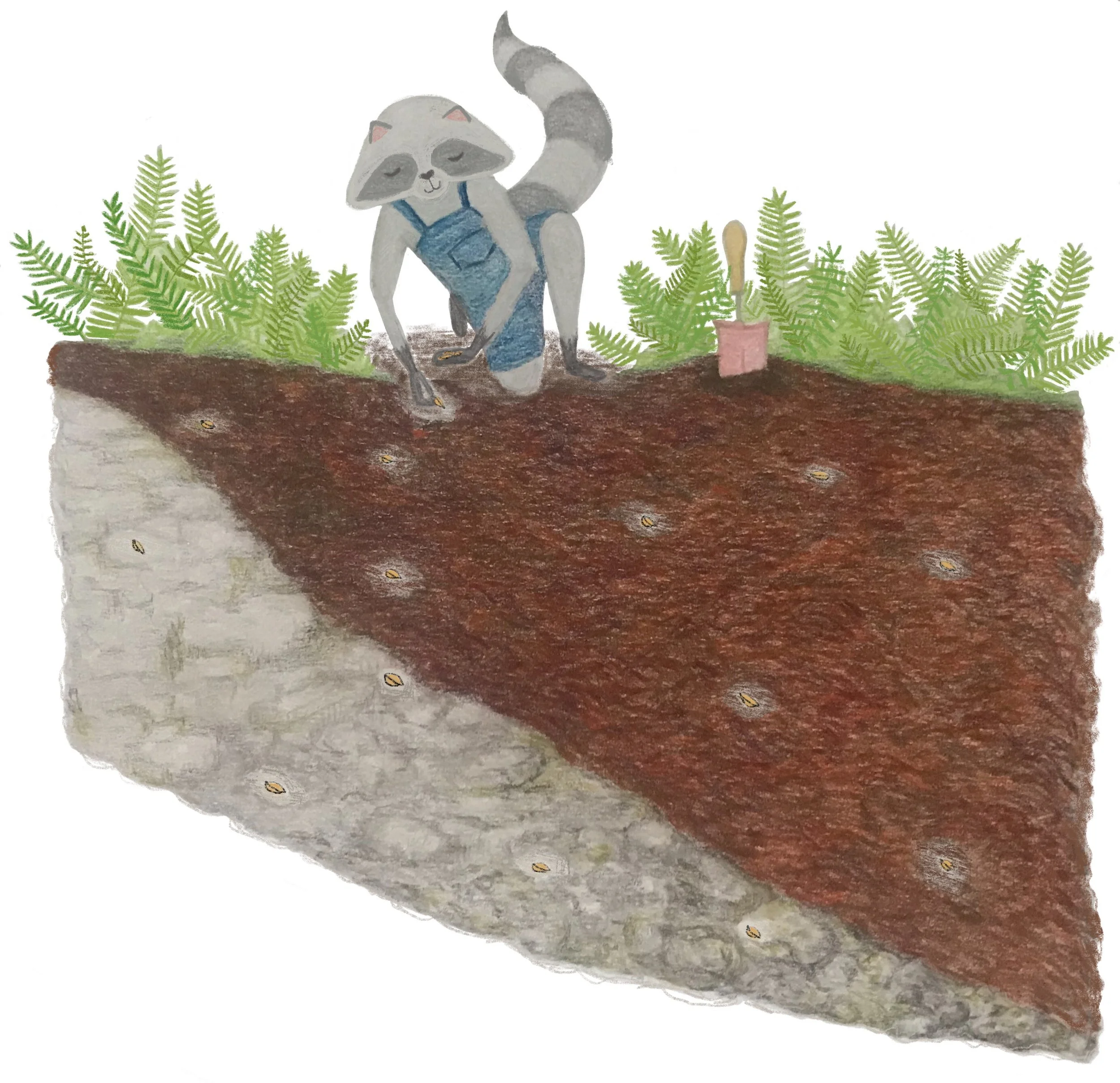 5. Poppy Planting.jpg