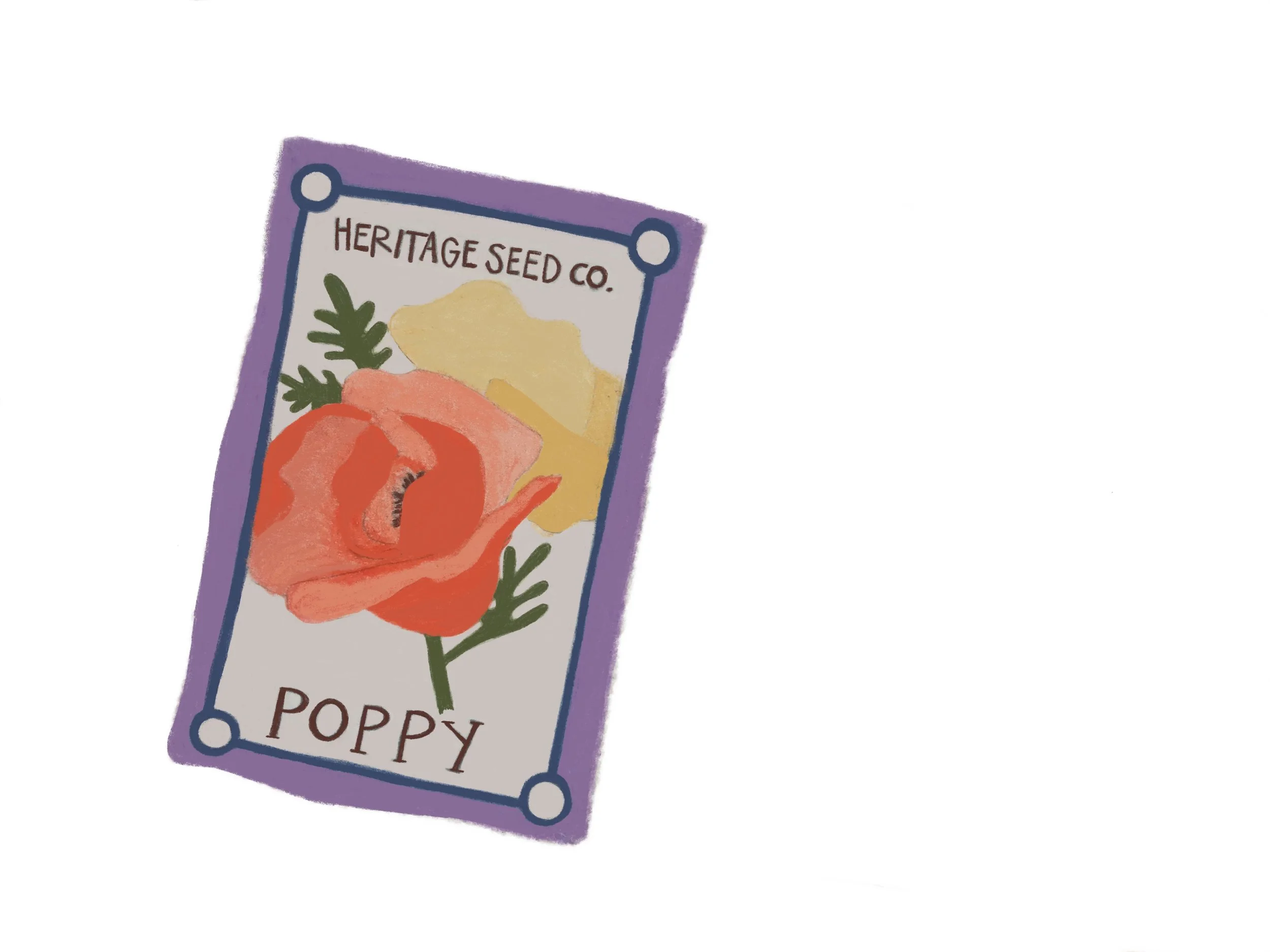 13. Seed Packet.jpg