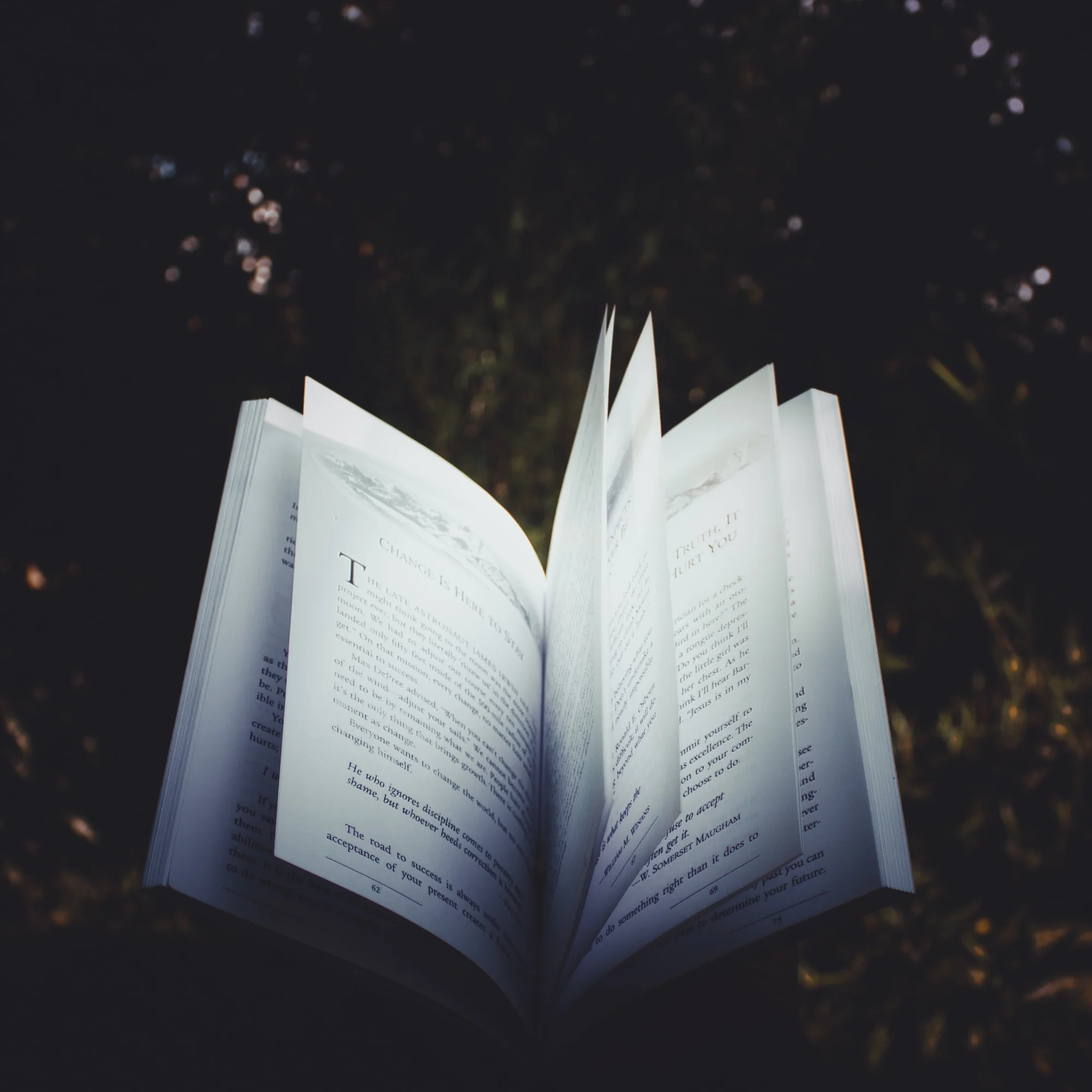 Prose/Poetry by Robert Alexander