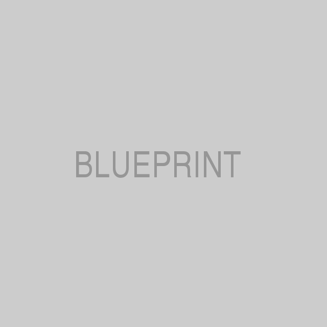640x640&text=BLUEPRINT.png
