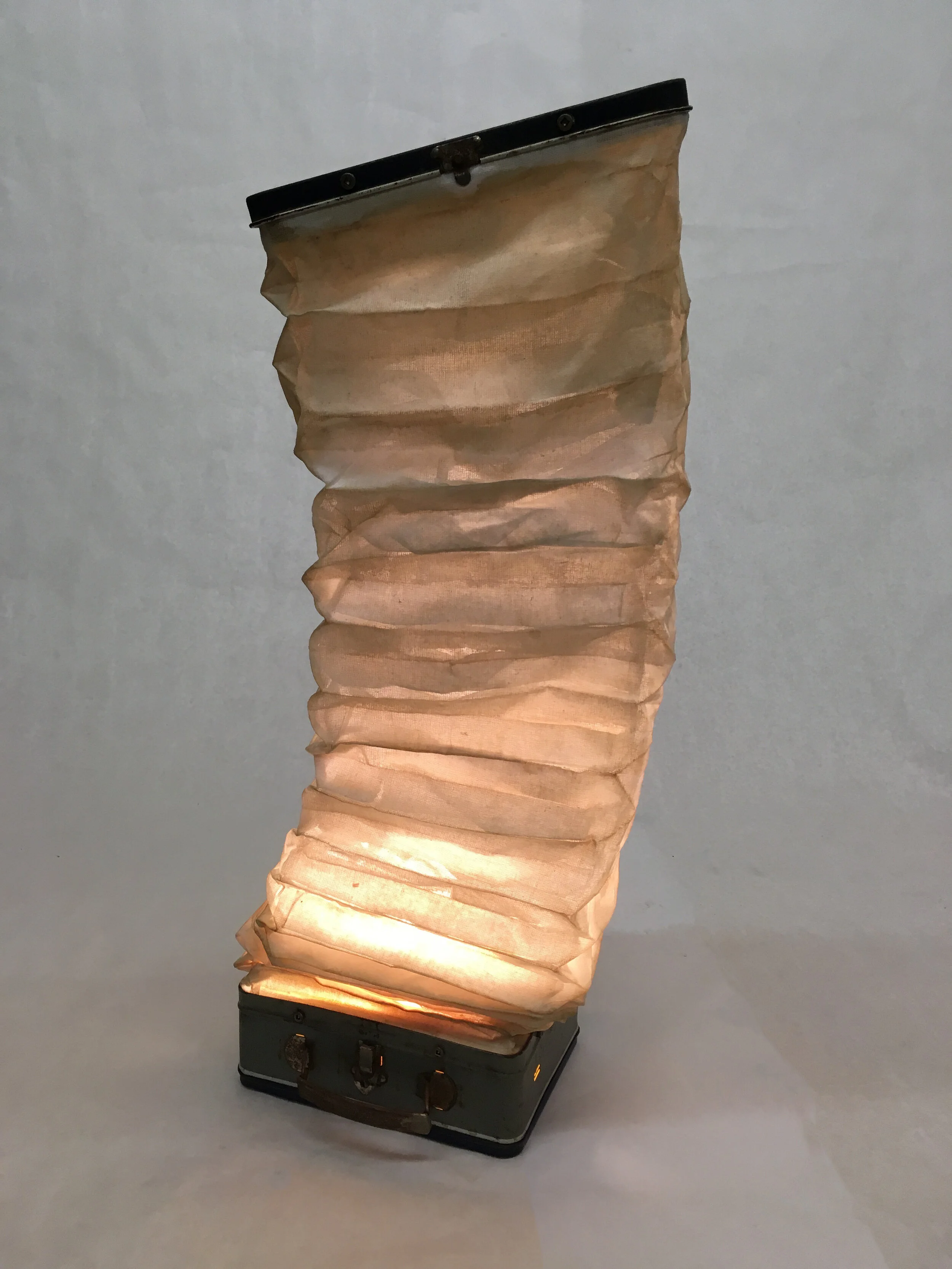 Squeezebox, 2017