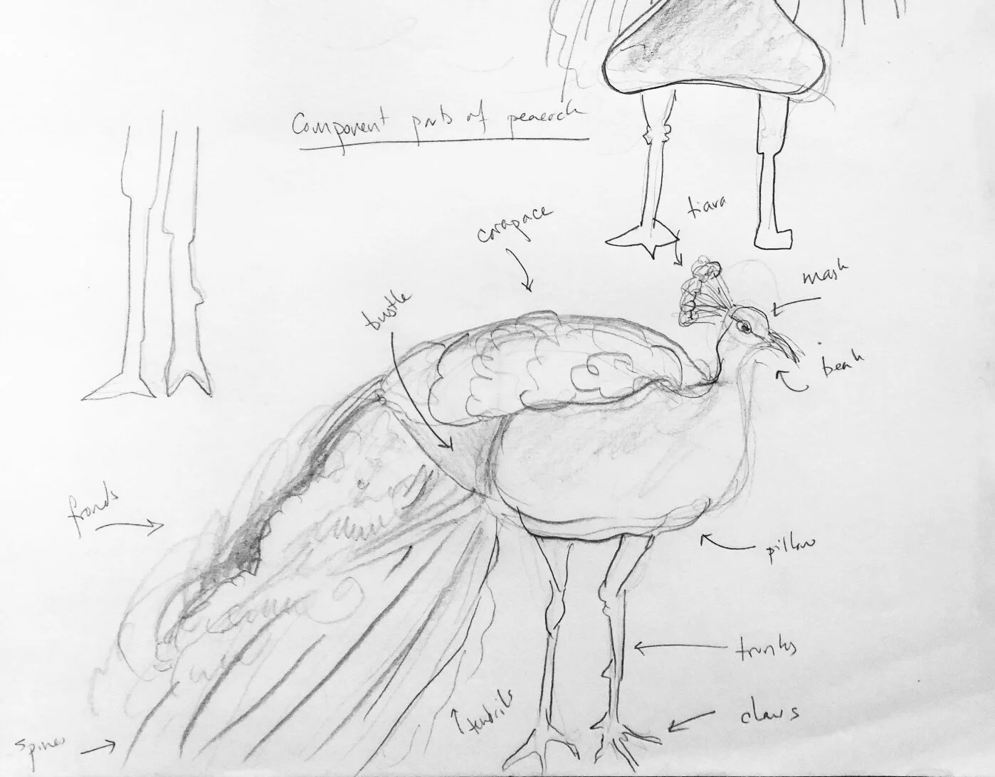 Peacockery, 2019-2021