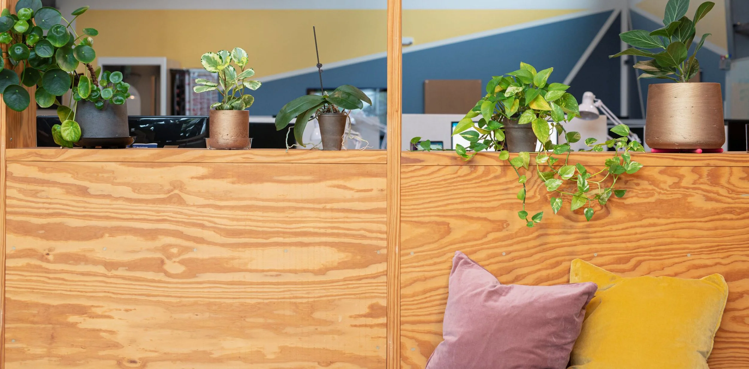 Interior finish-out, Marcus Technologies, 2019/2021