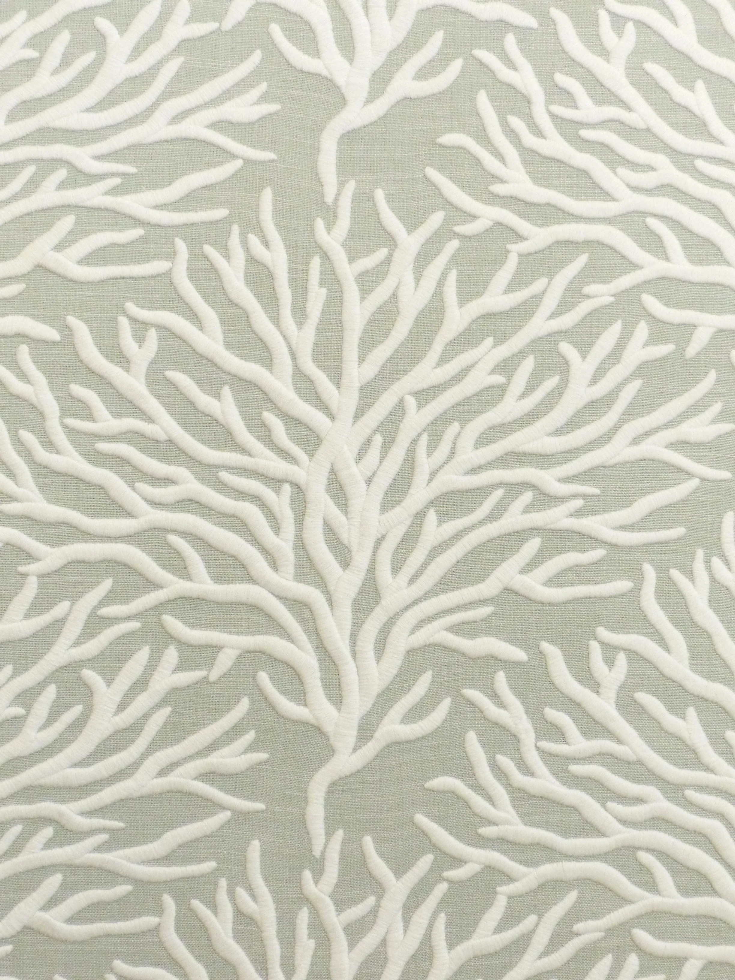 CORAL GRAY.jpg