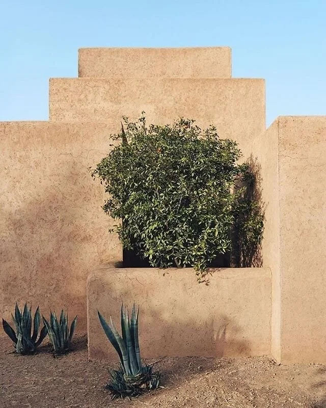 Trees will always find their place