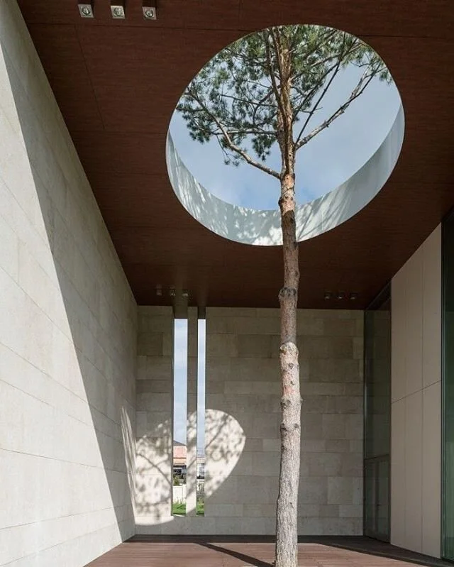 Todo merece su espacio. It all deserves its space.
A tree growing within the house.

V&iacute;a - Arch. Daily
Photography Yuri Palmin
Inspiration